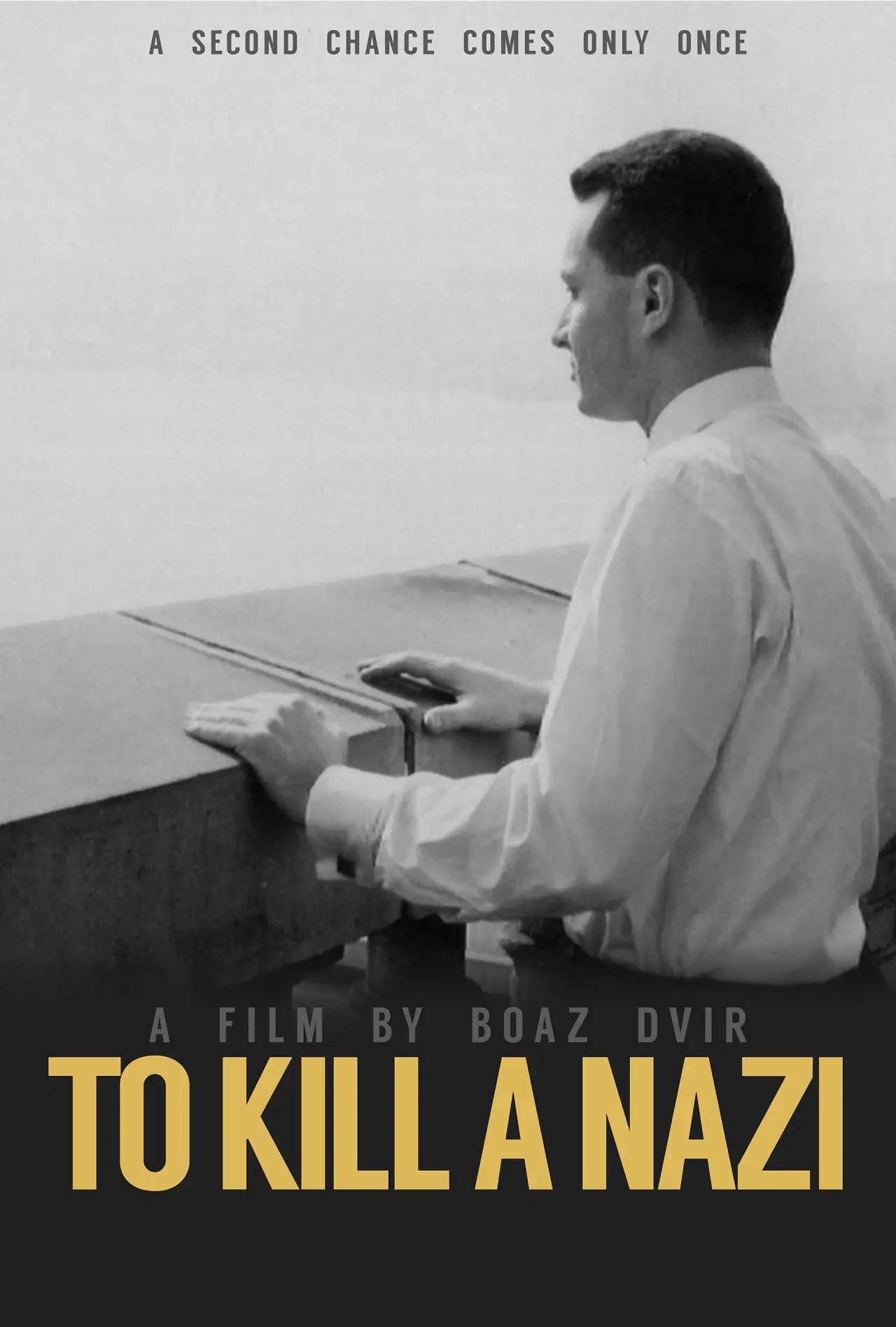 Movie poster "To Kill a Nazi"