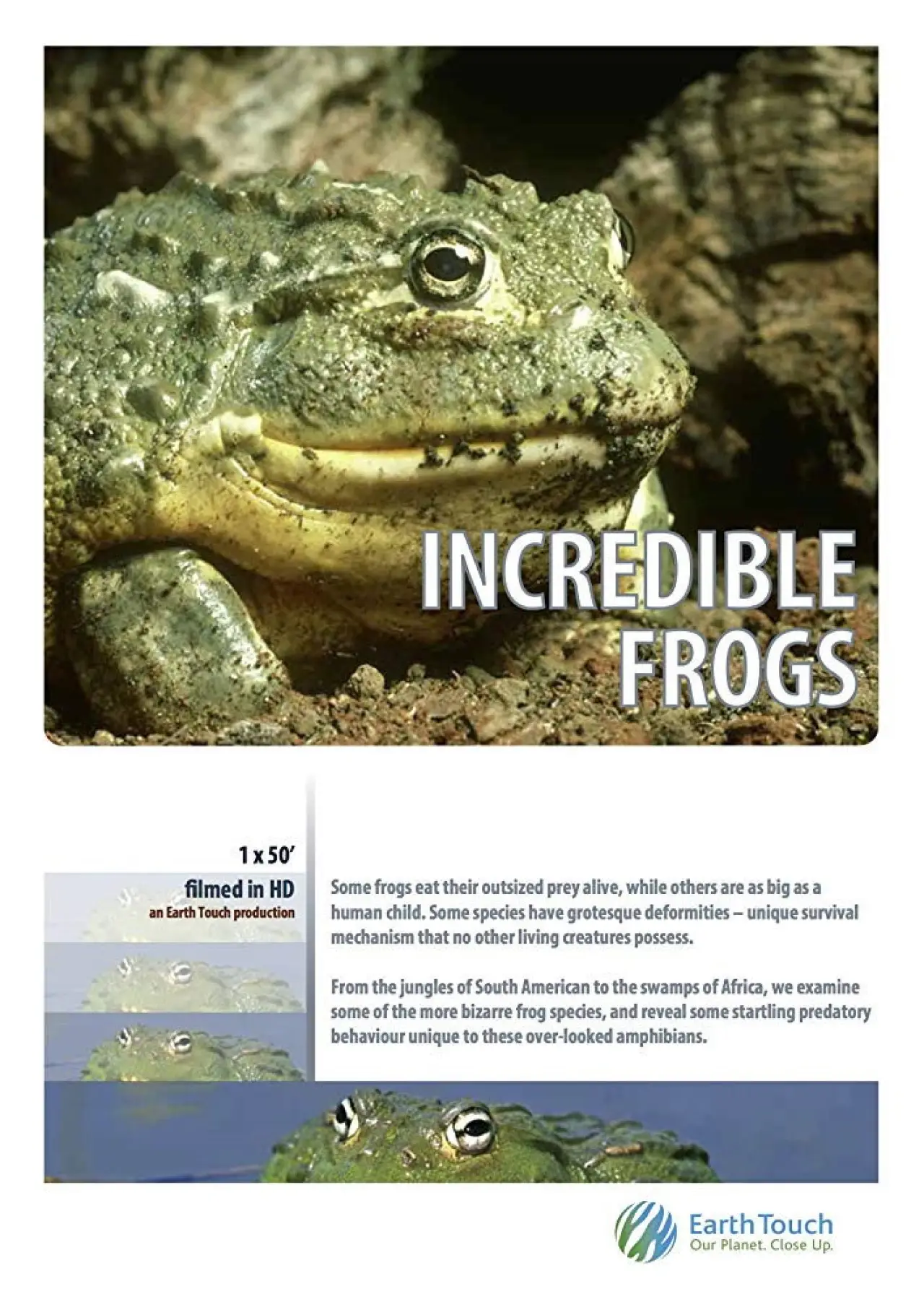 Movie poster "Incredible frogs"