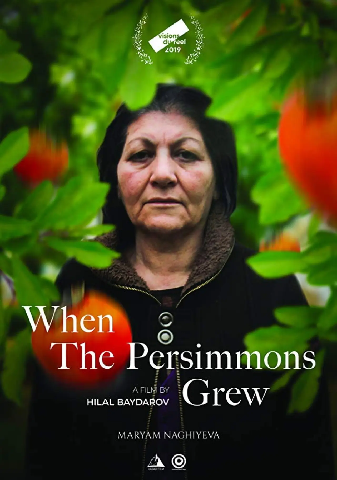 Movie poster "When the Persimmons Grew"