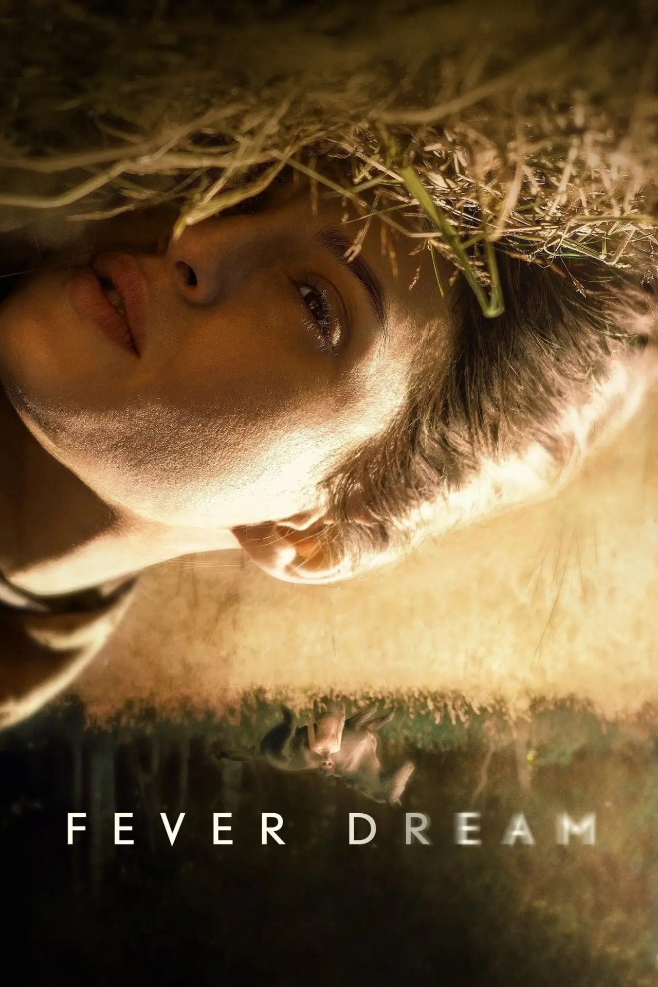 Movie poster "Fever Dream"