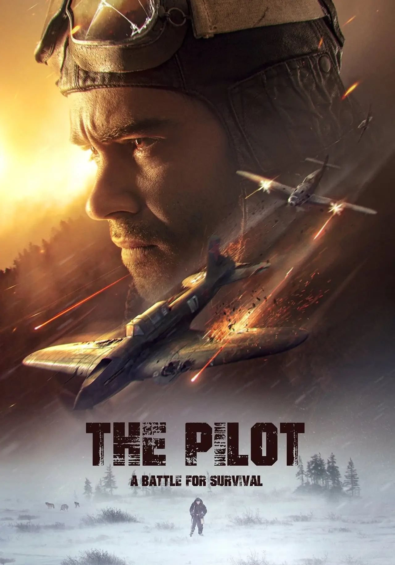 Movie poster "The Pilot: A Battle for Survival"