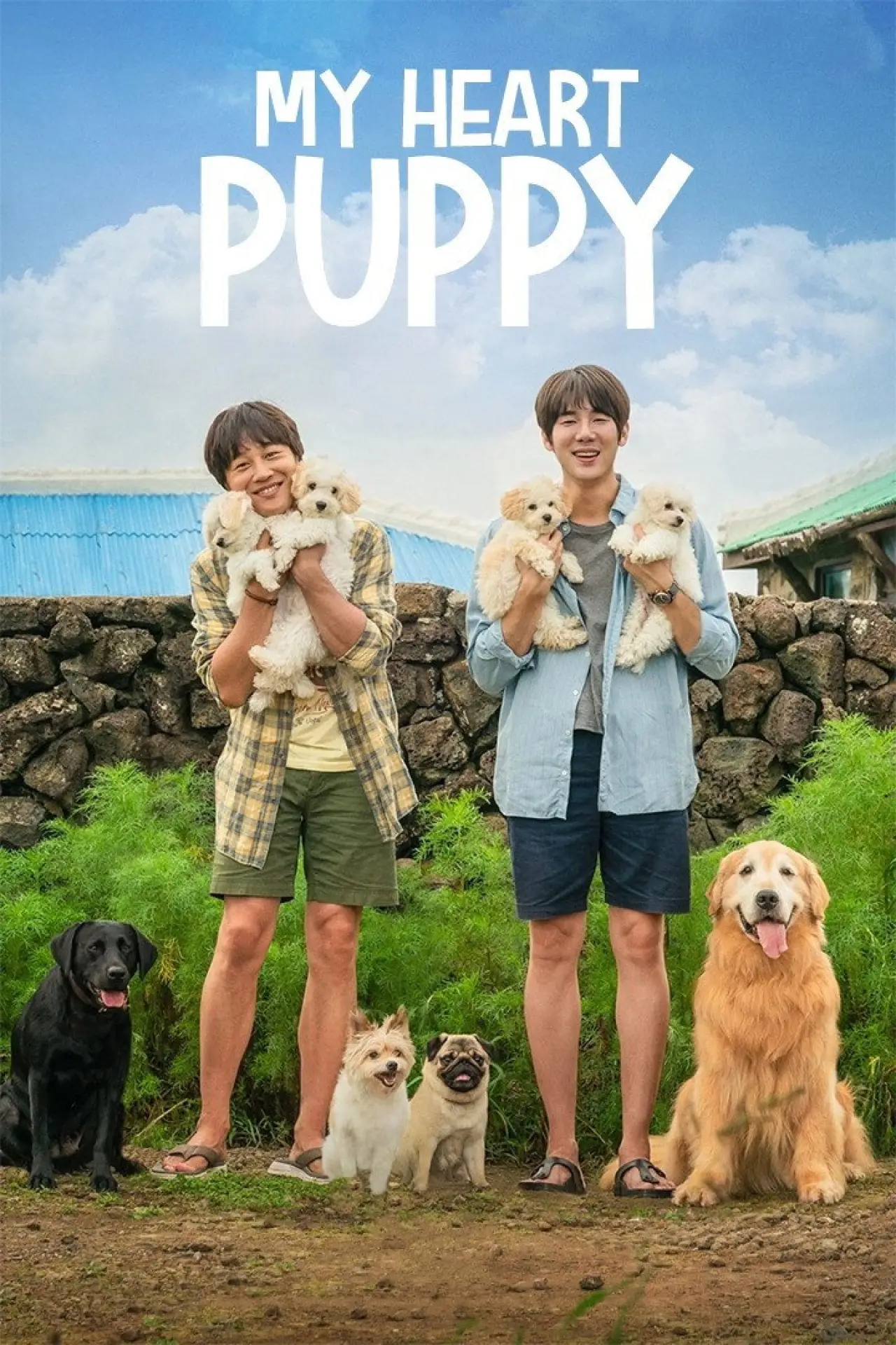 Movie poster "My Heart Puppy"
