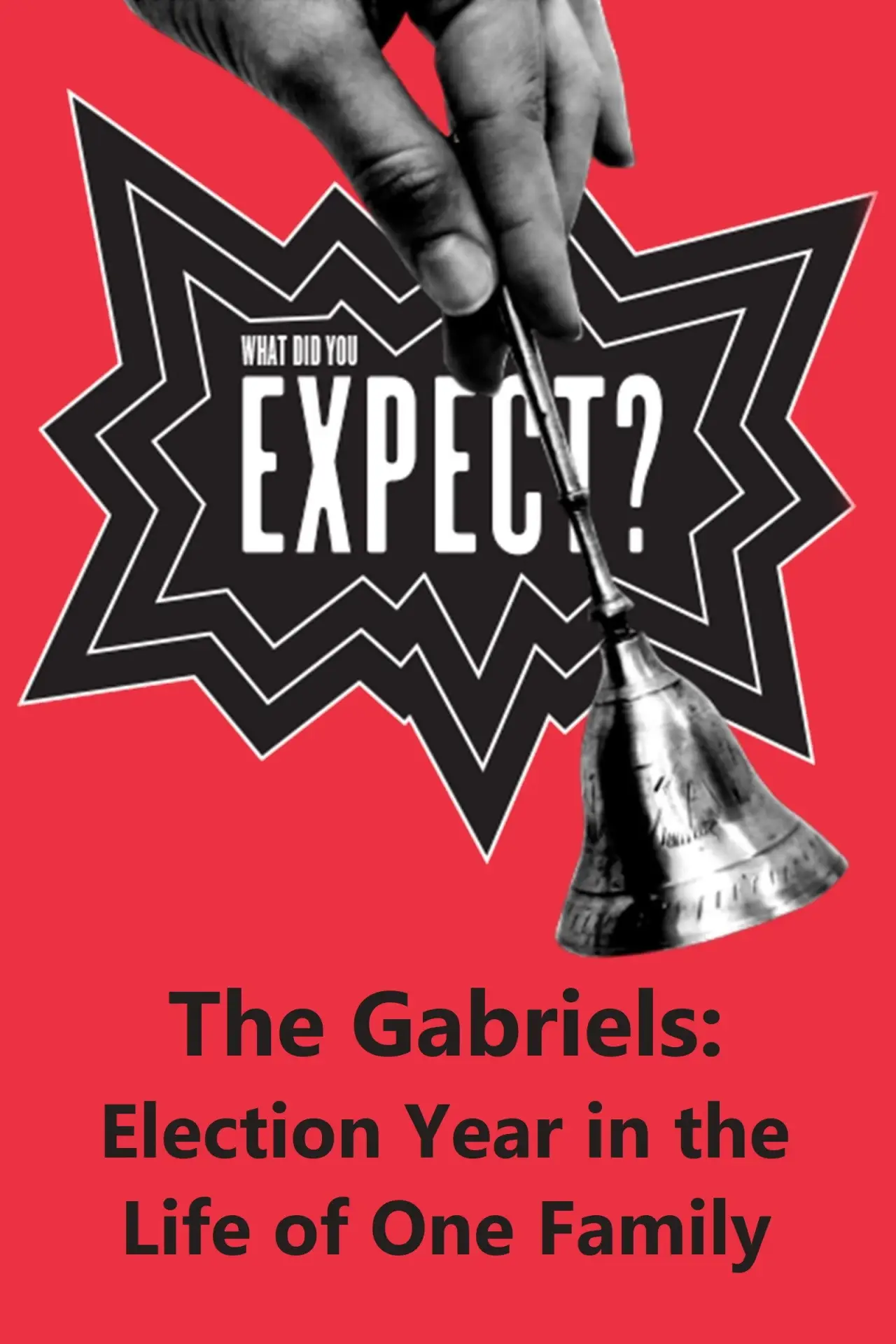 Movie poster "The Gabriels: Election Year in the Life of One Family, Play Two: What Did You Expect?"