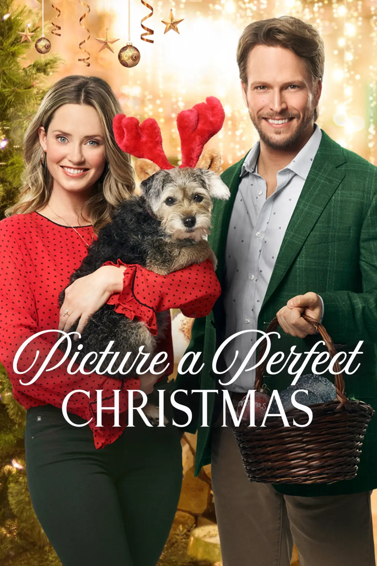 Movie poster "Picture a Perfect Christmas"