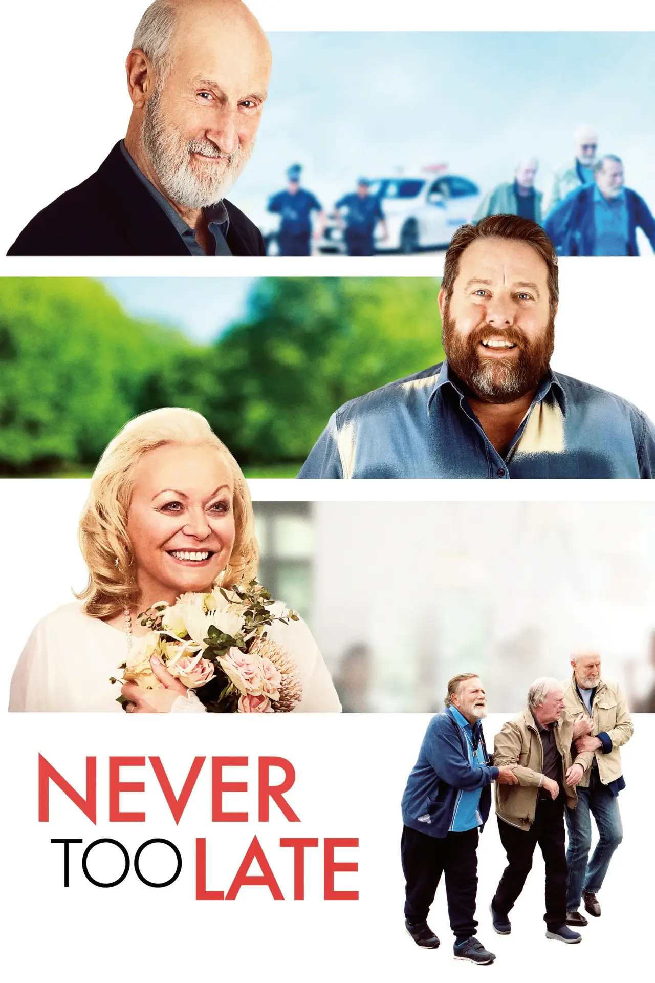 Movie poster "Never Too Late"