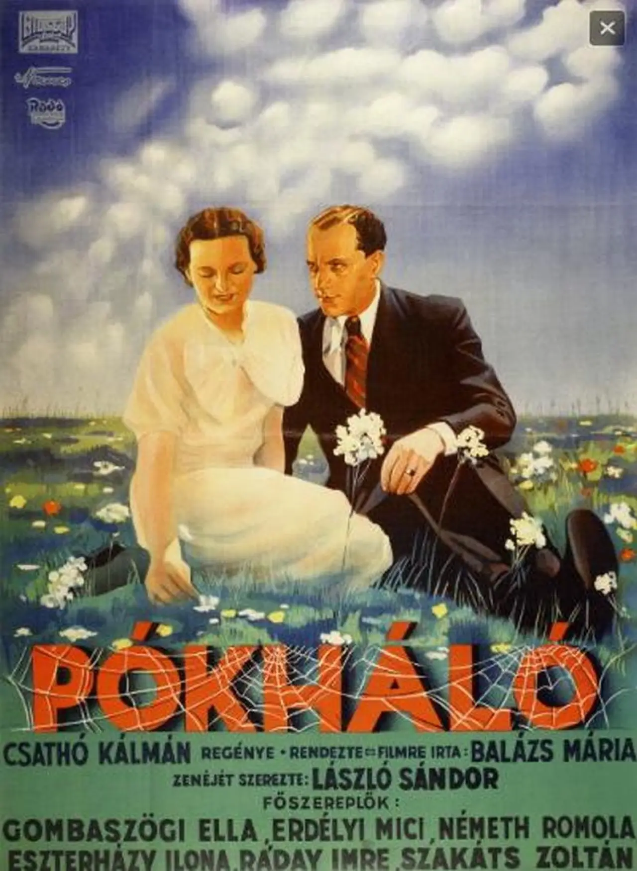 Movie poster "Cobweb"