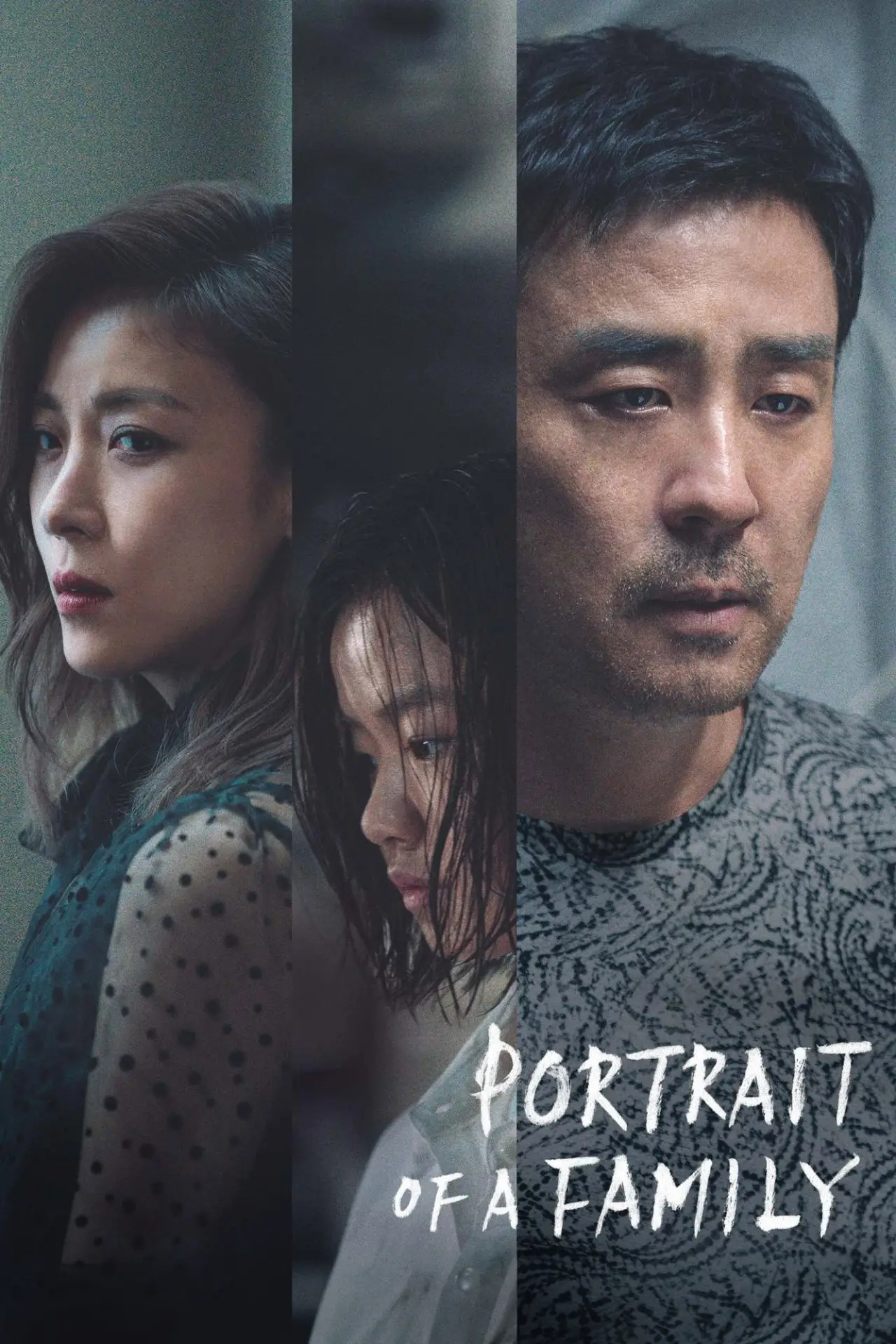 Movie poster "Portrait of a Family"