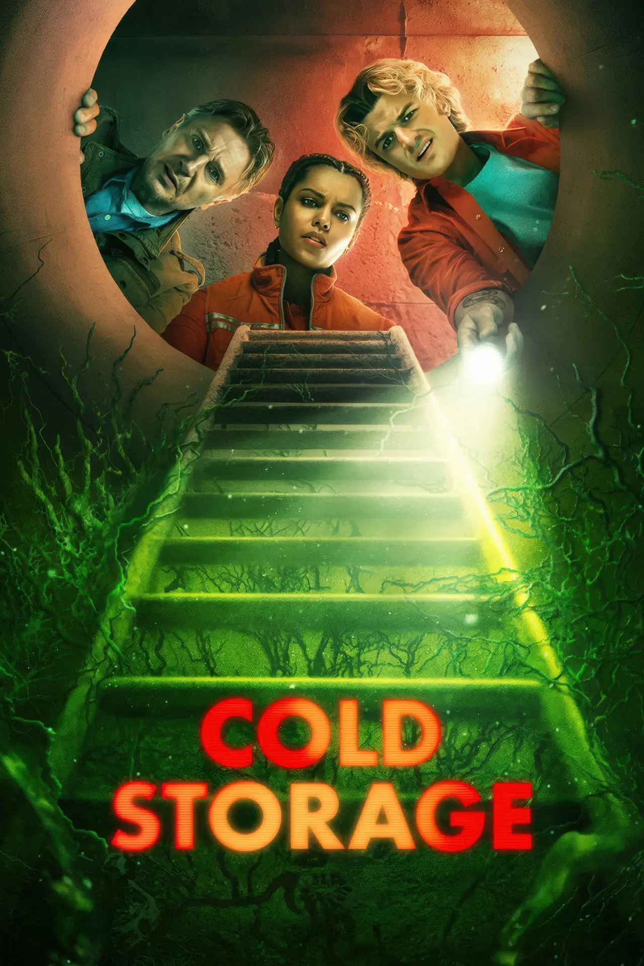 Movie poster "Cold Storage"