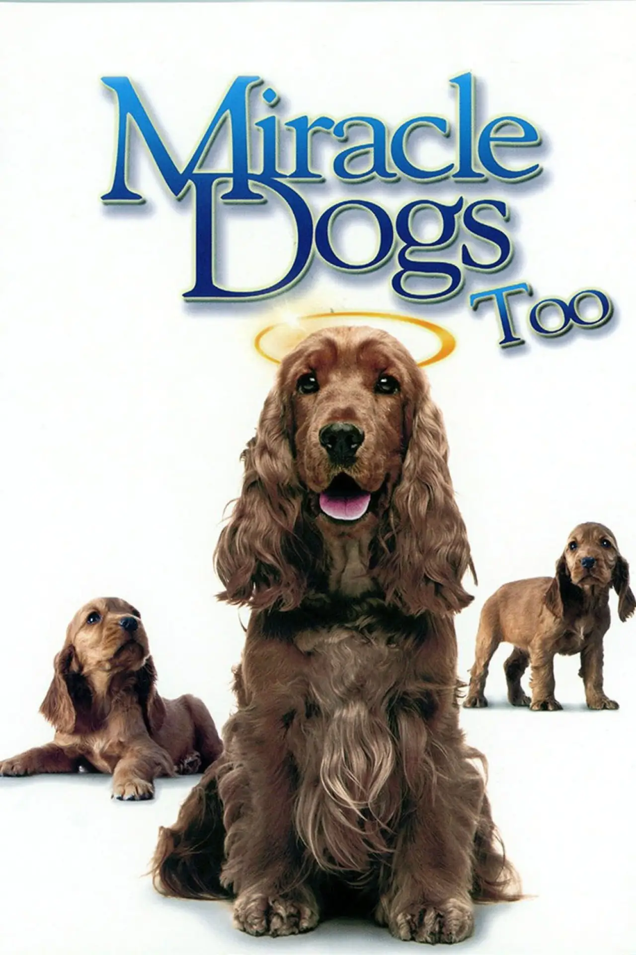 Movie poster "Miracle Dogs Too"