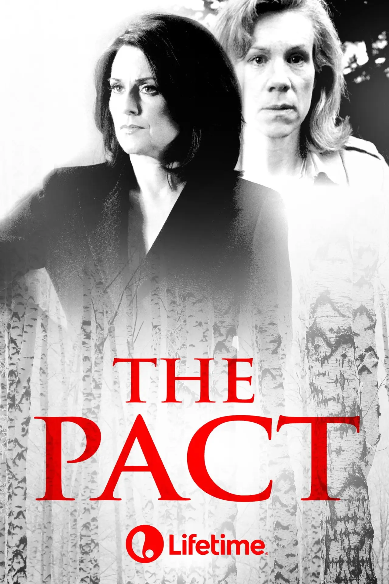 Movie poster "The Pact"
