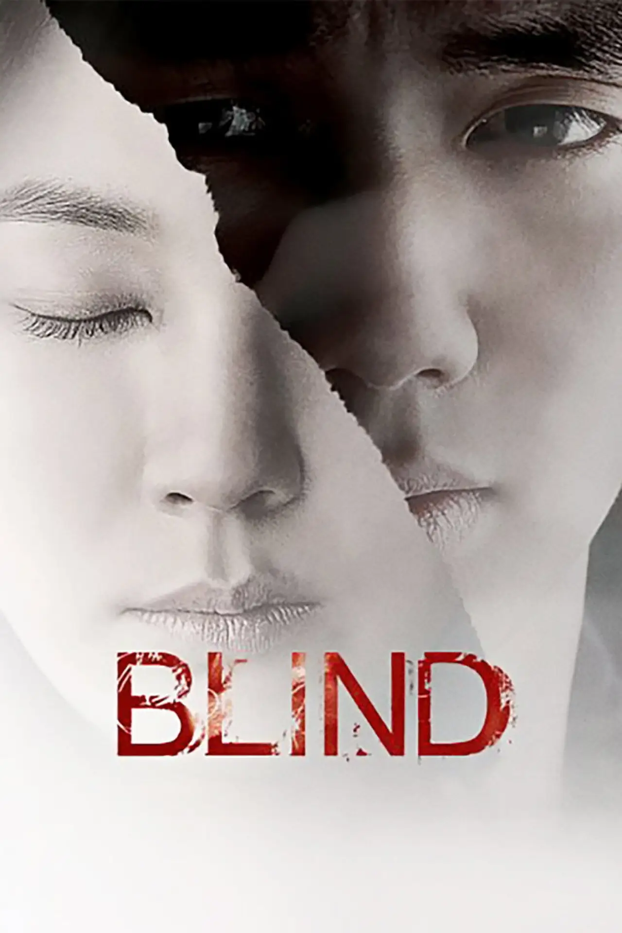 Movie poster "Blind"