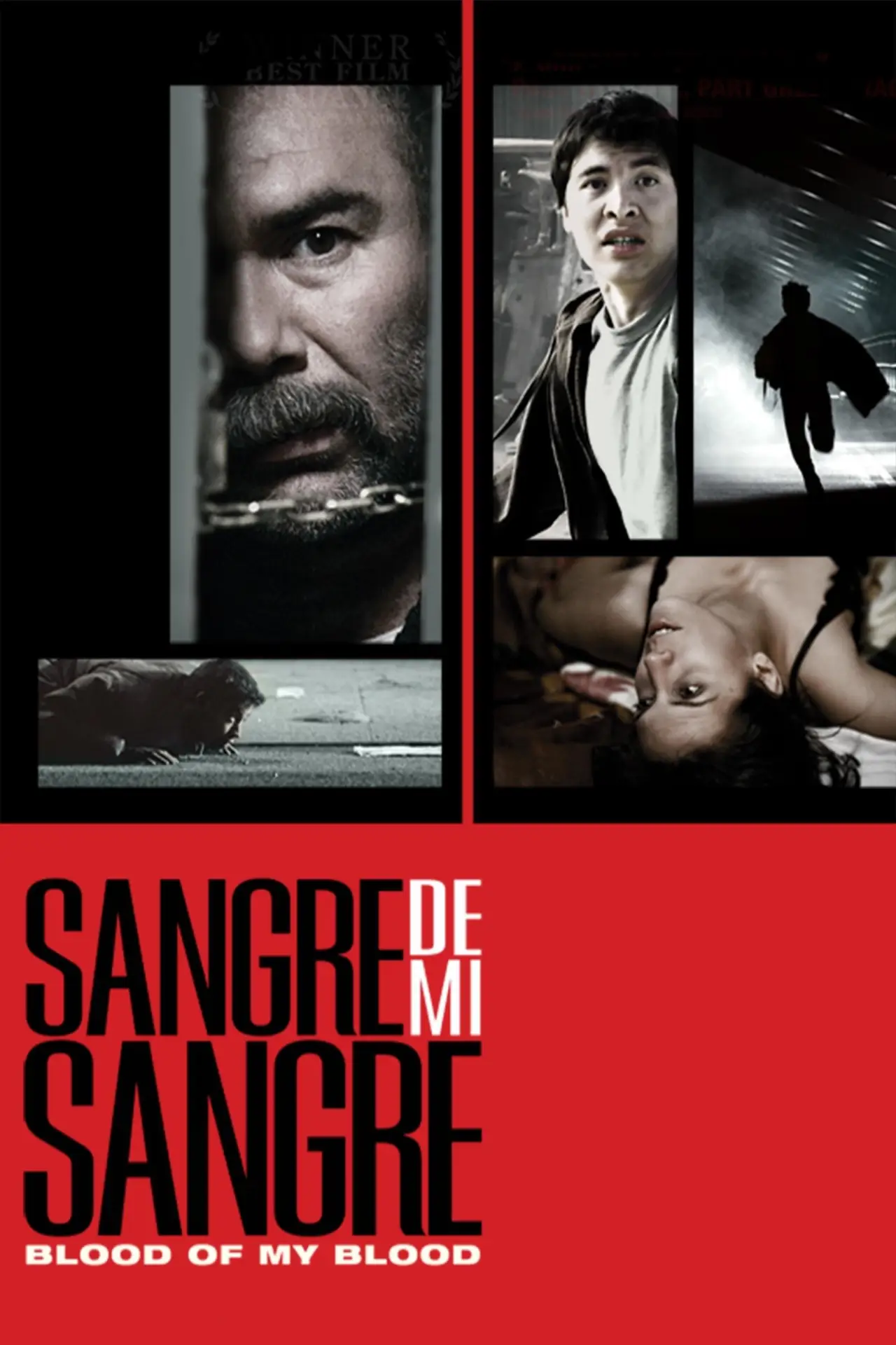 Movie poster "Blood of My Blood"