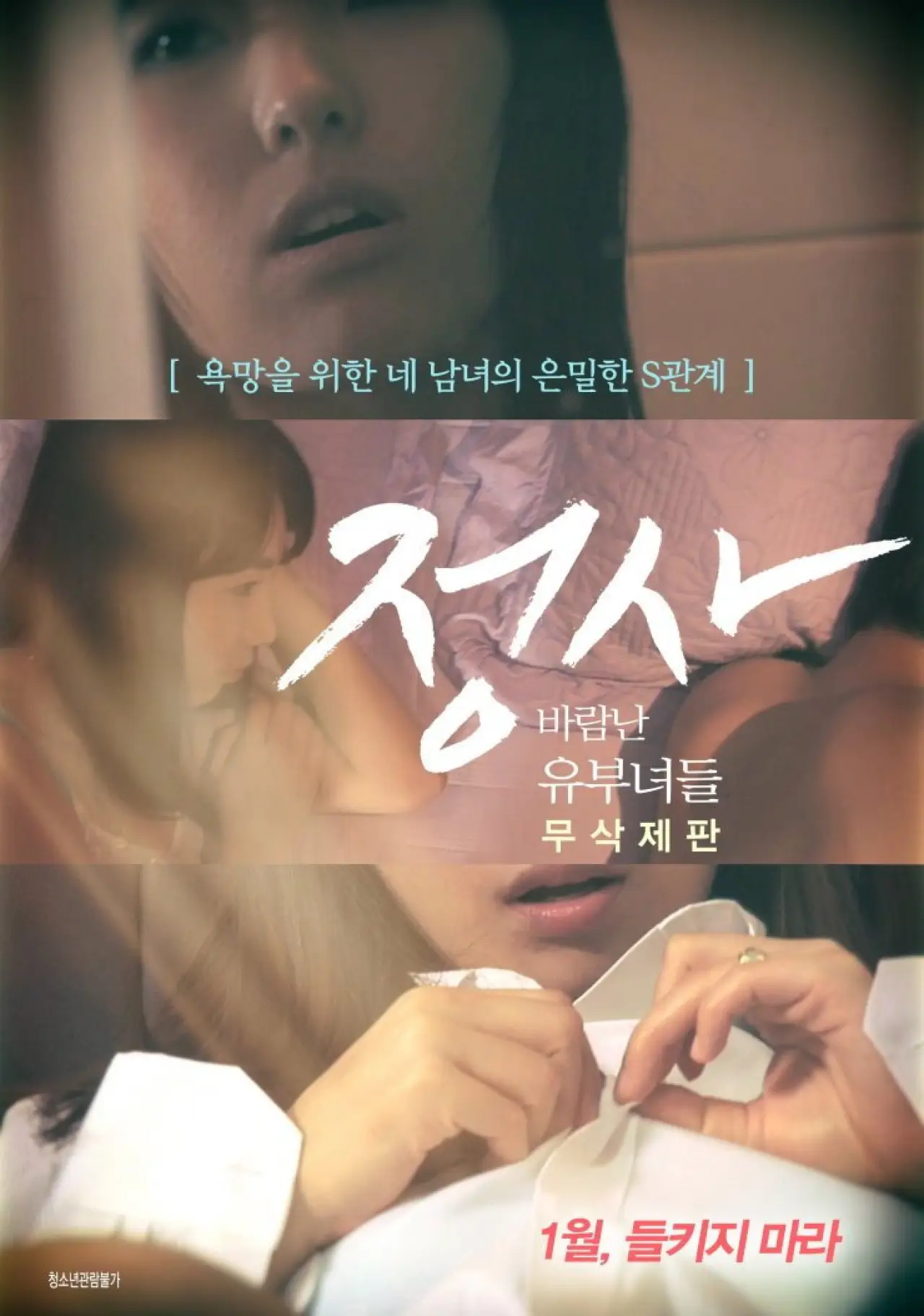 Movie poster "An Affair: Cheating Housewives - Director