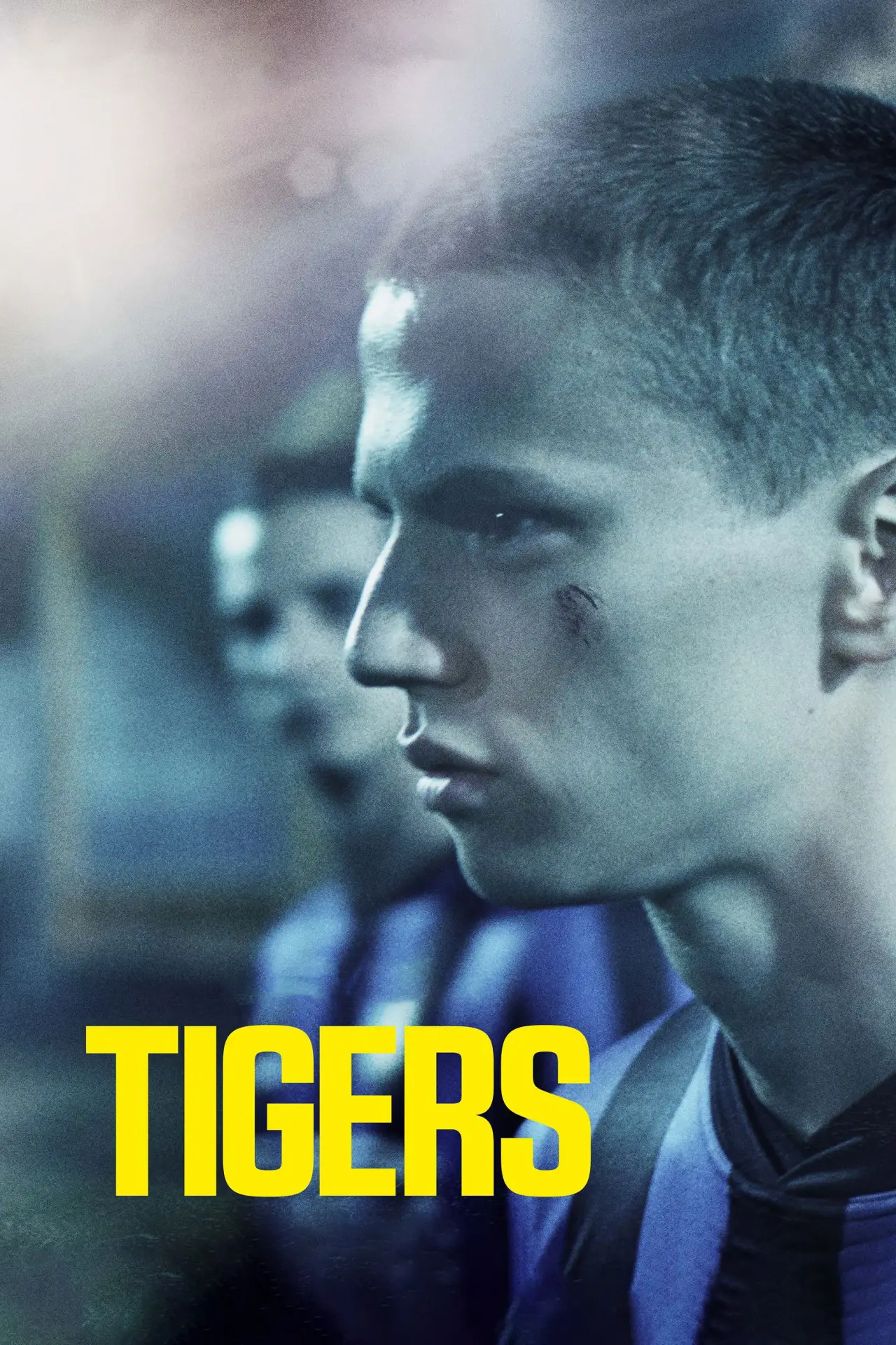 Movie poster "Tigers"