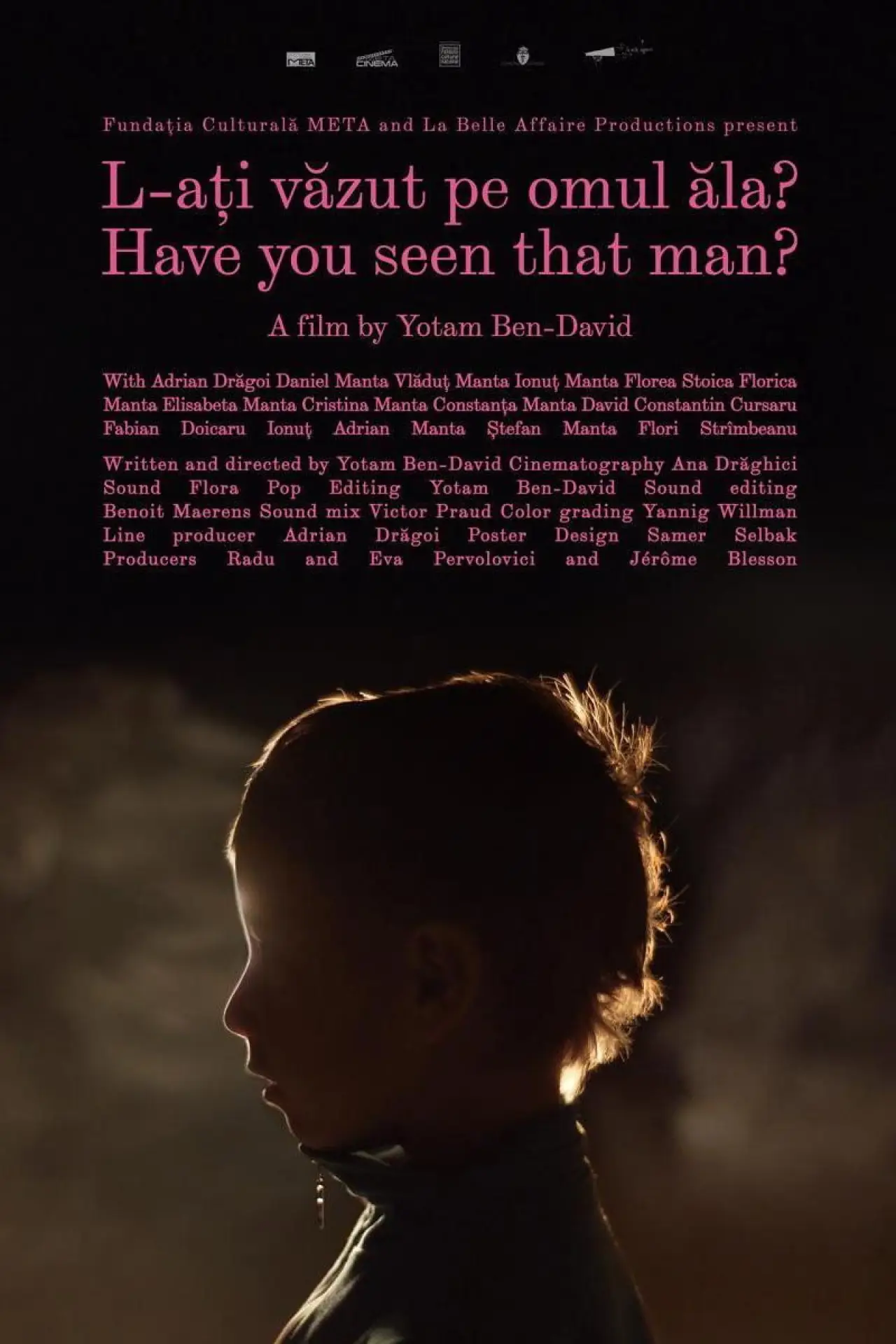 Movie poster "Have You Seen That Man?"