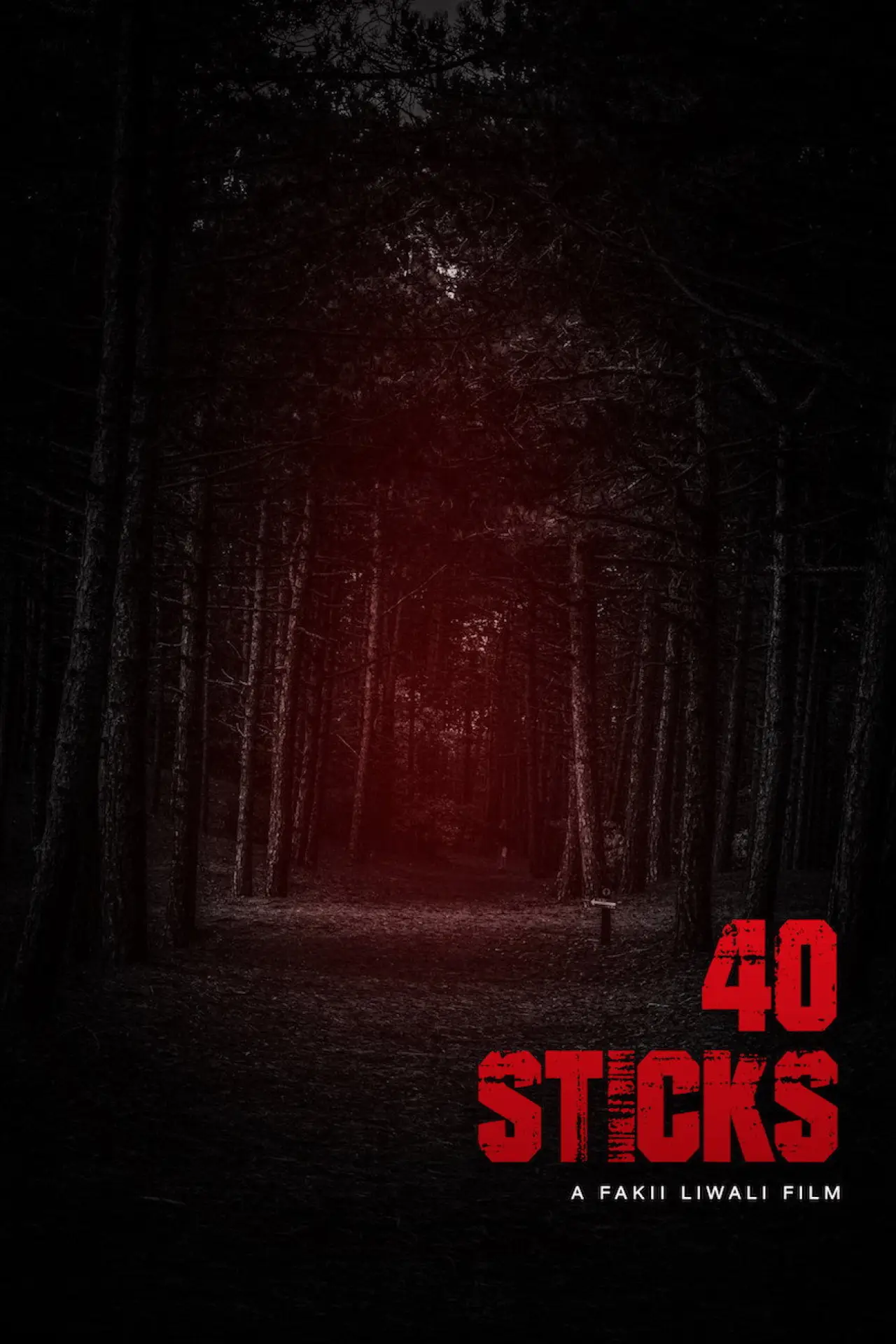 Movie poster "40 Sticks"