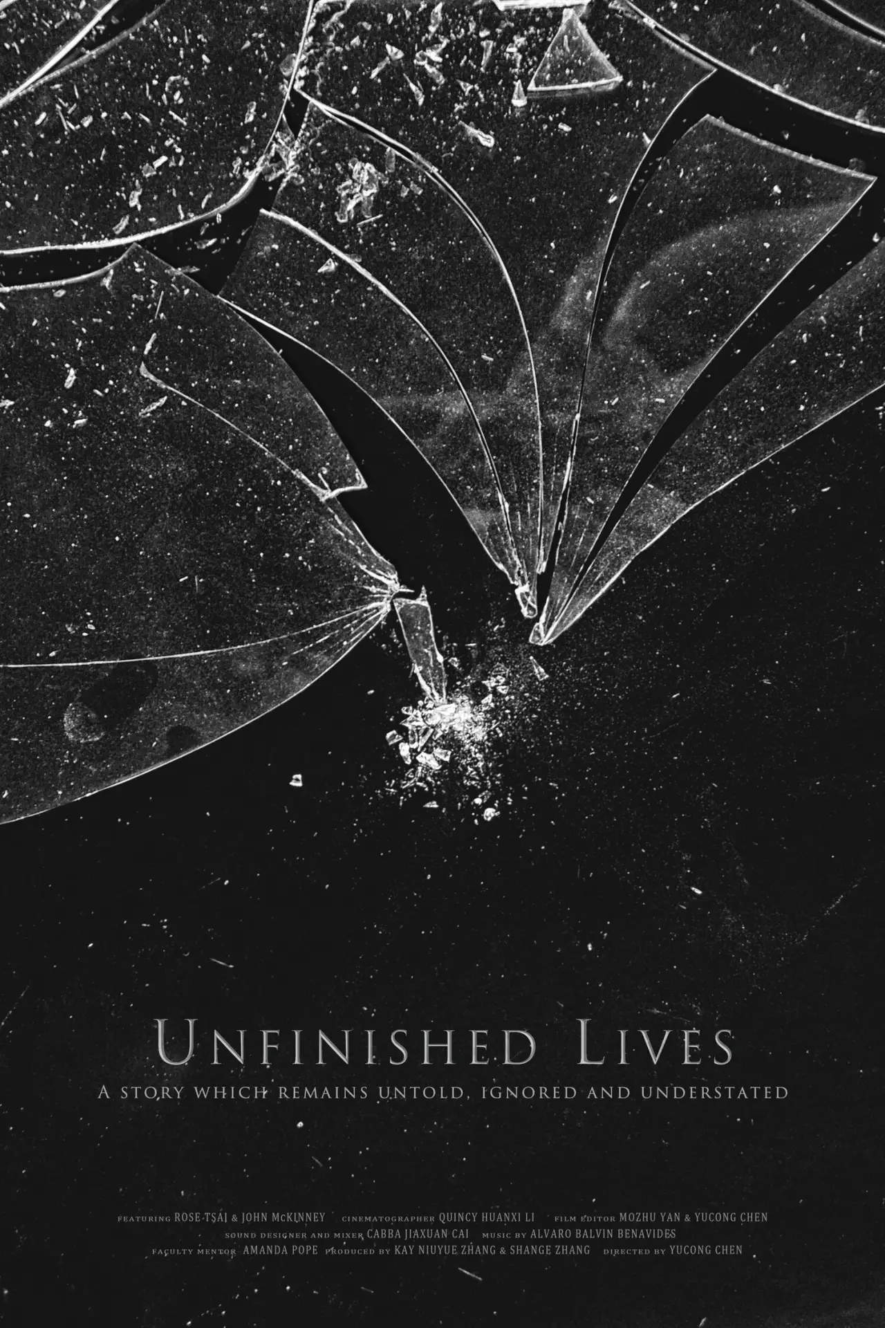 Movie poster "Unfinished Lives"