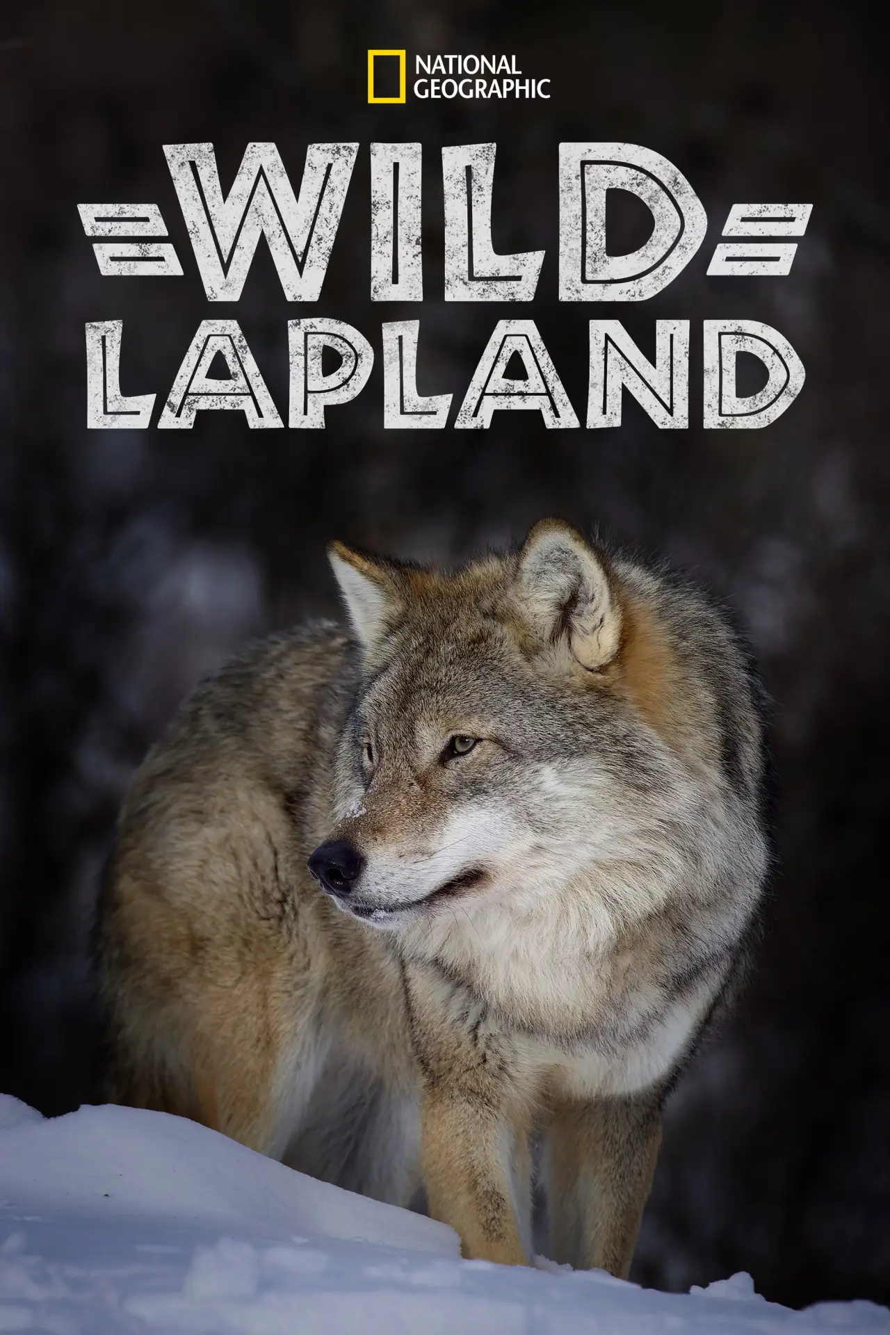 Movie poster "Wild Lapland"