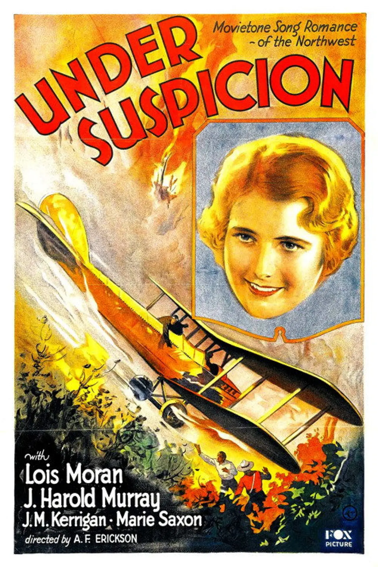 Movie poster "Under Suspicion"