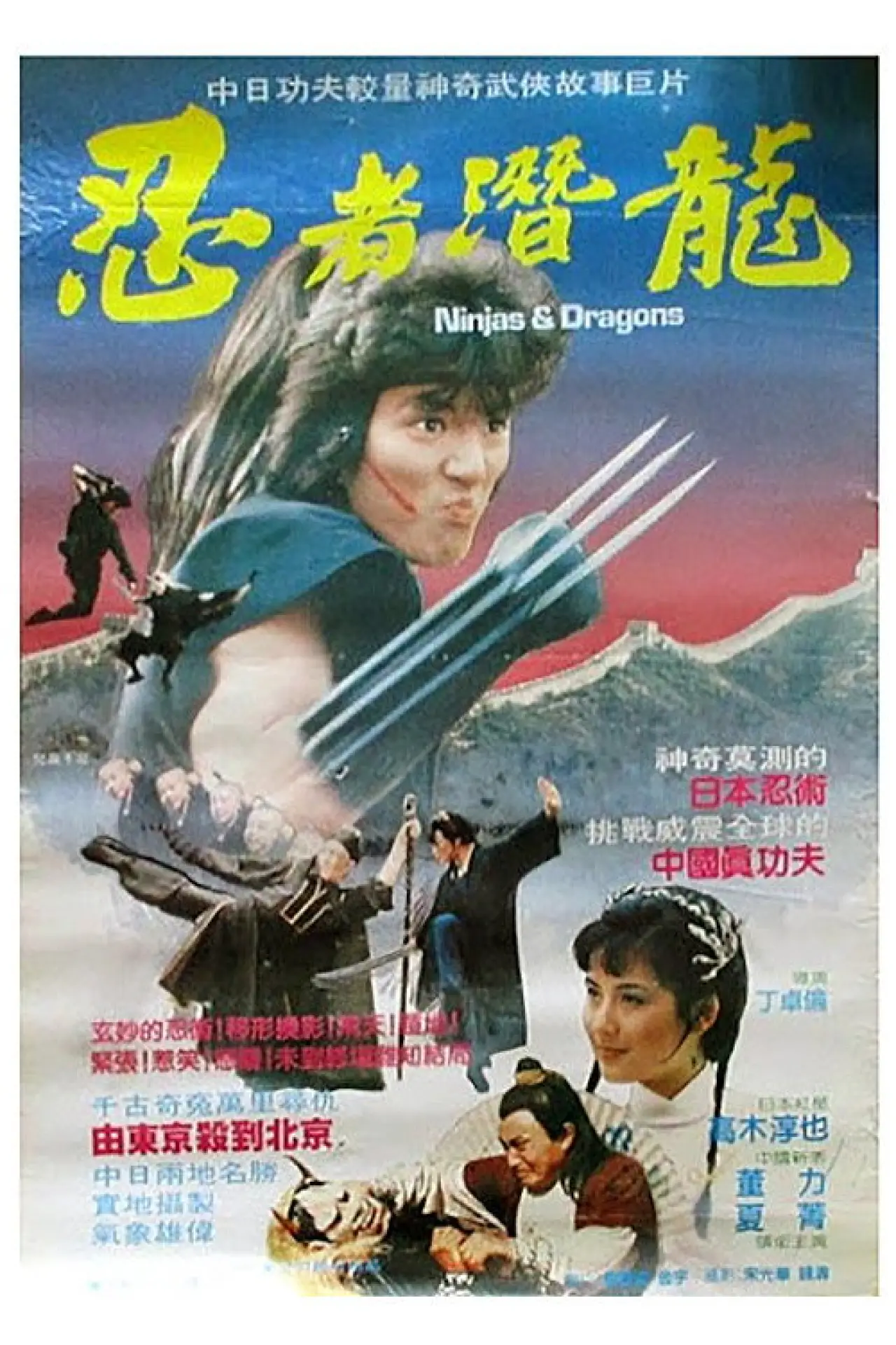 Movie poster "Ninjas and Dragons"