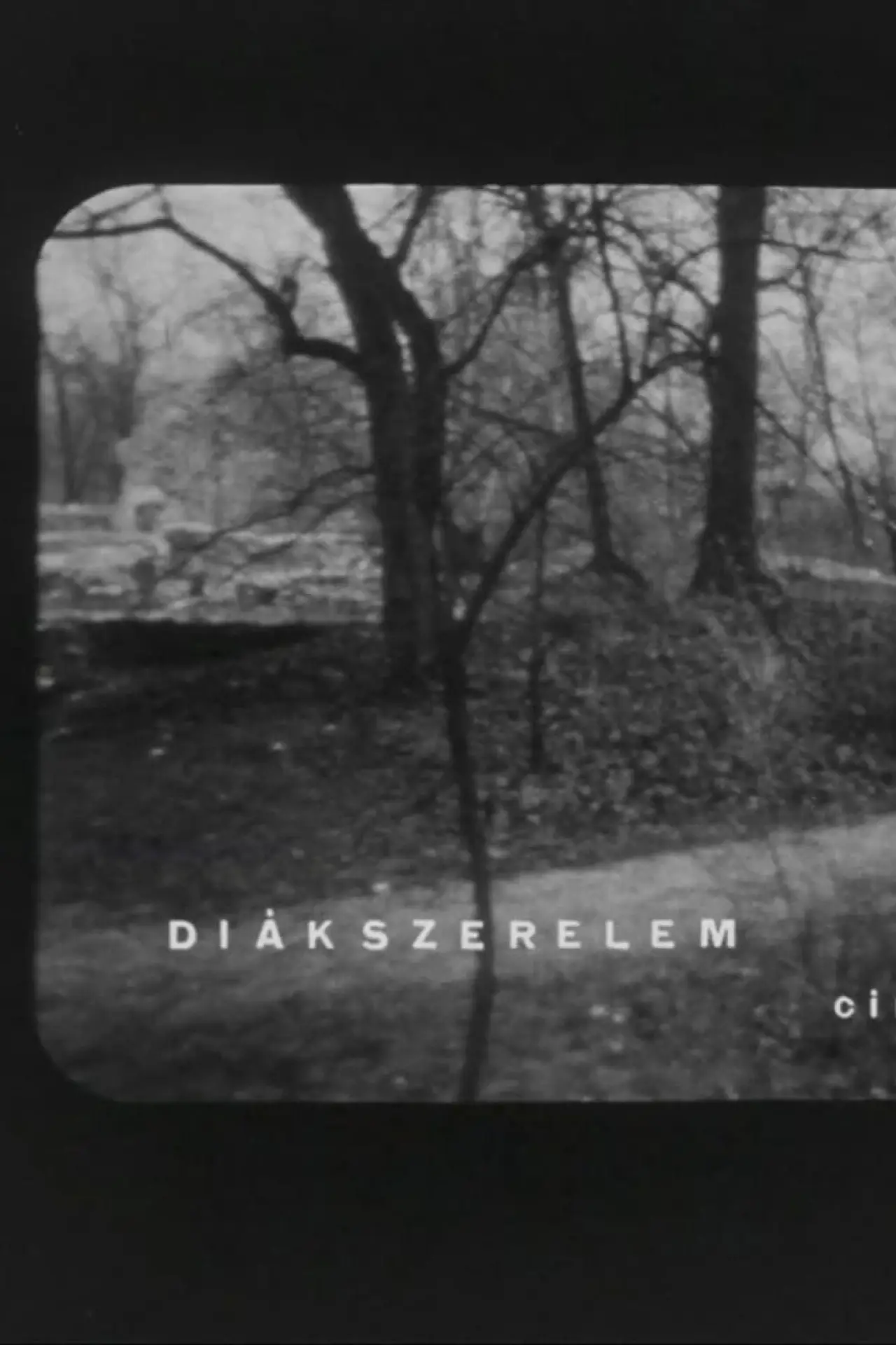 Movie poster "Diákszerelem"
