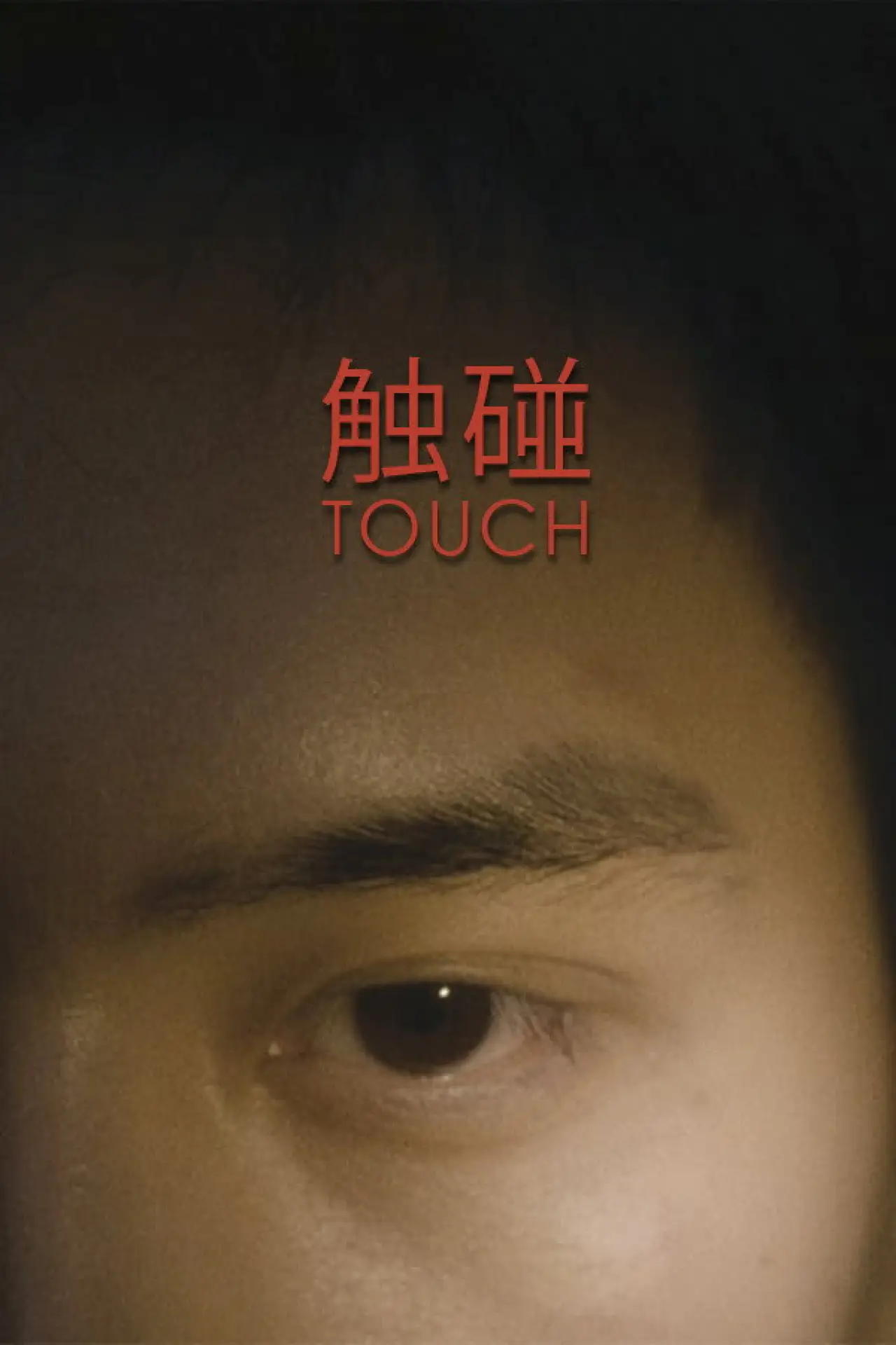 Movie poster "Touch"