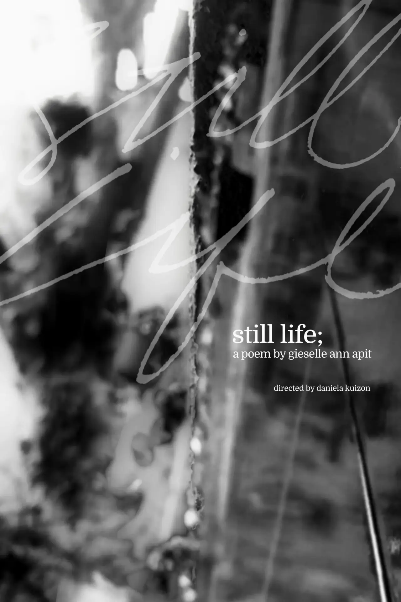 Movie poster "still life"