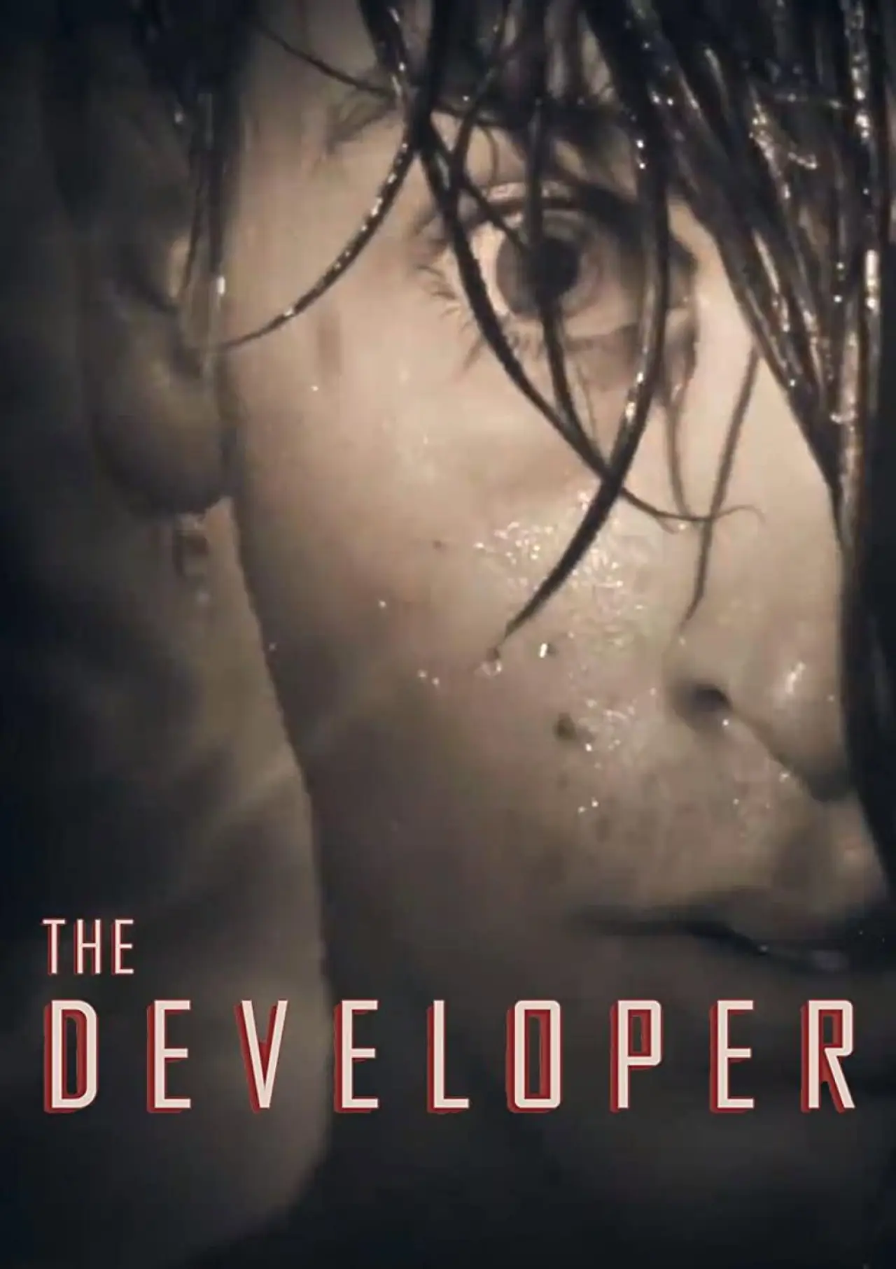 Movie poster "The Developer"