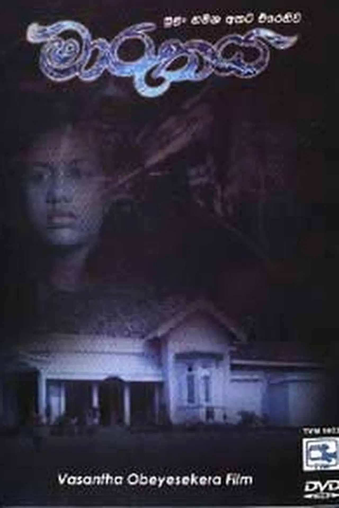 Movie poster "The Storm"
