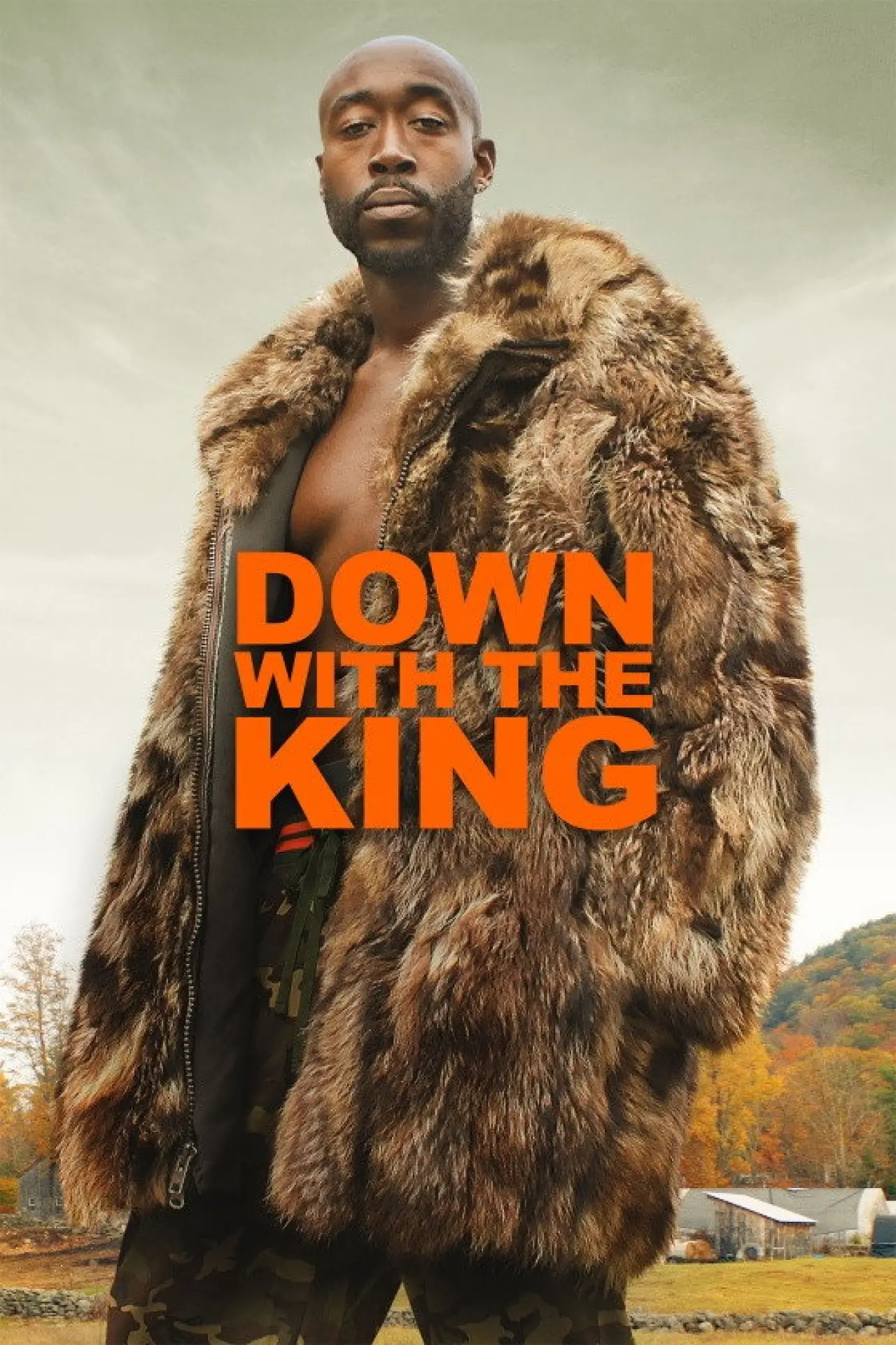 Movie poster "Down with the King"