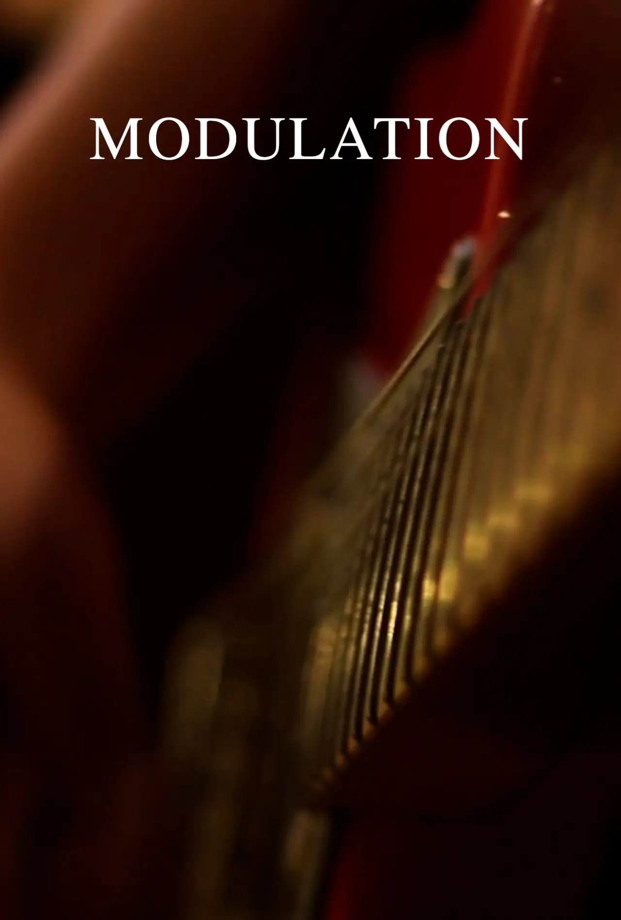 Movie poster "Modulation"