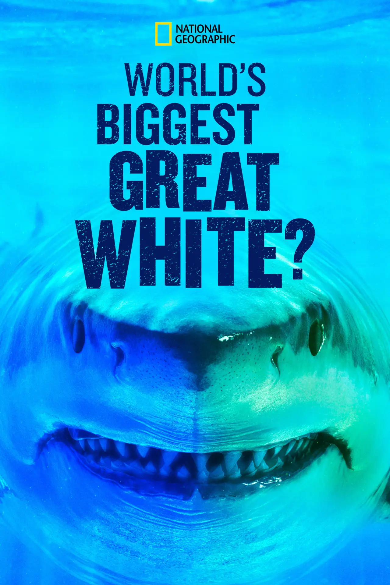 Movie poster "World