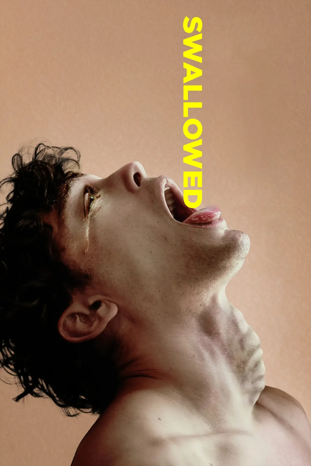Movie poster "Swallowed"