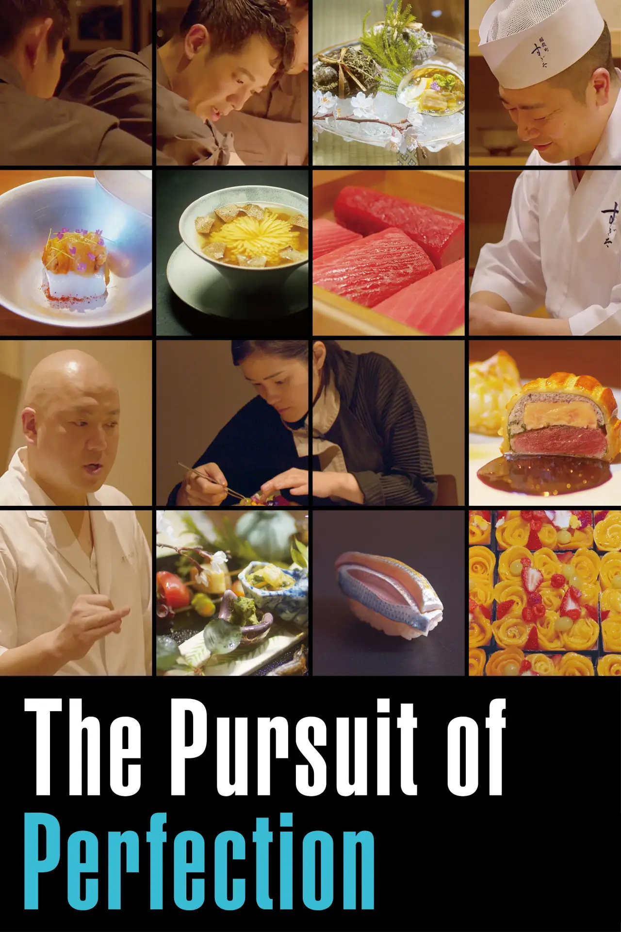 Movie poster "The Pursuit of Perfection"