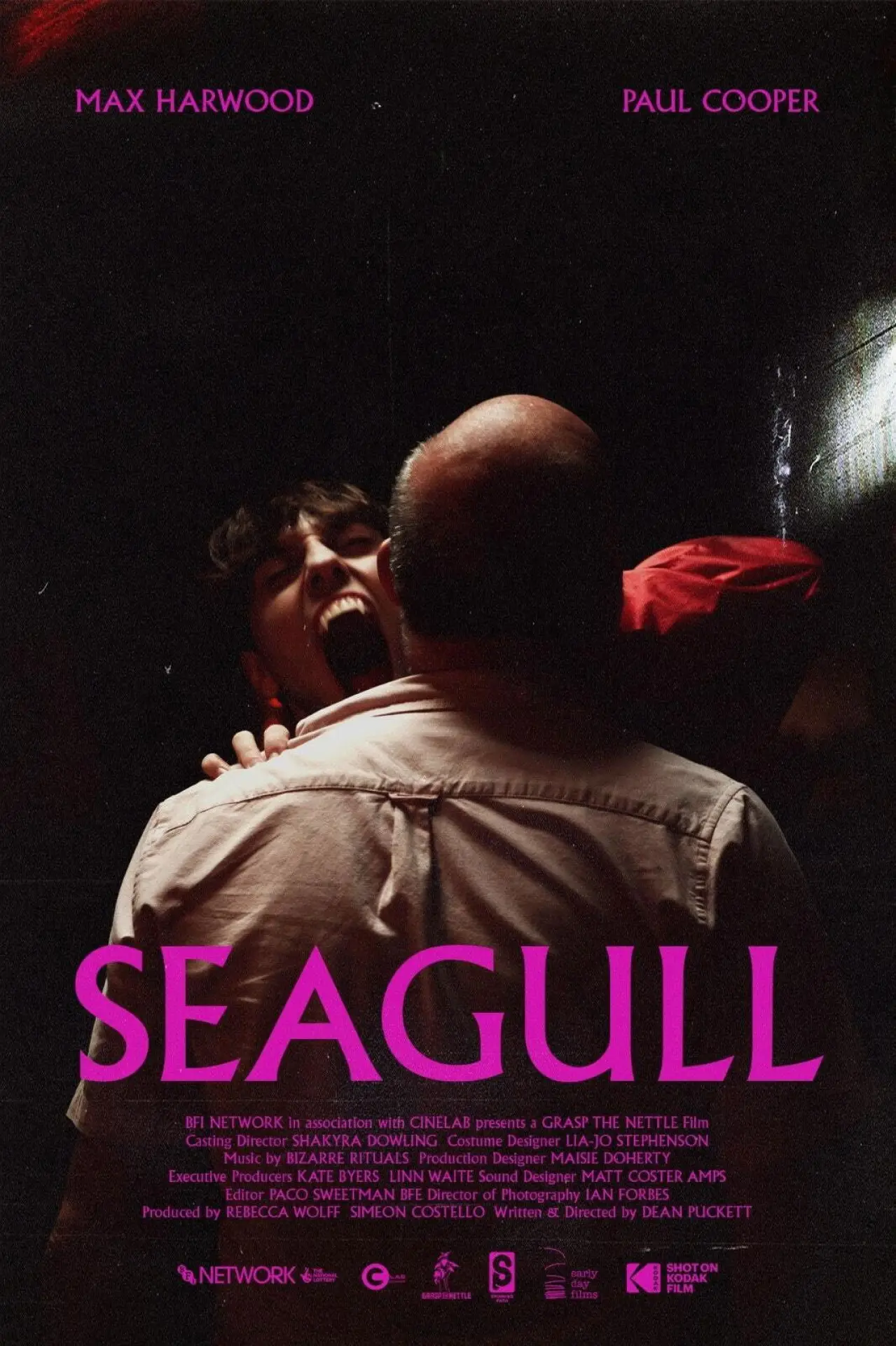 Movie poster "Seagull"