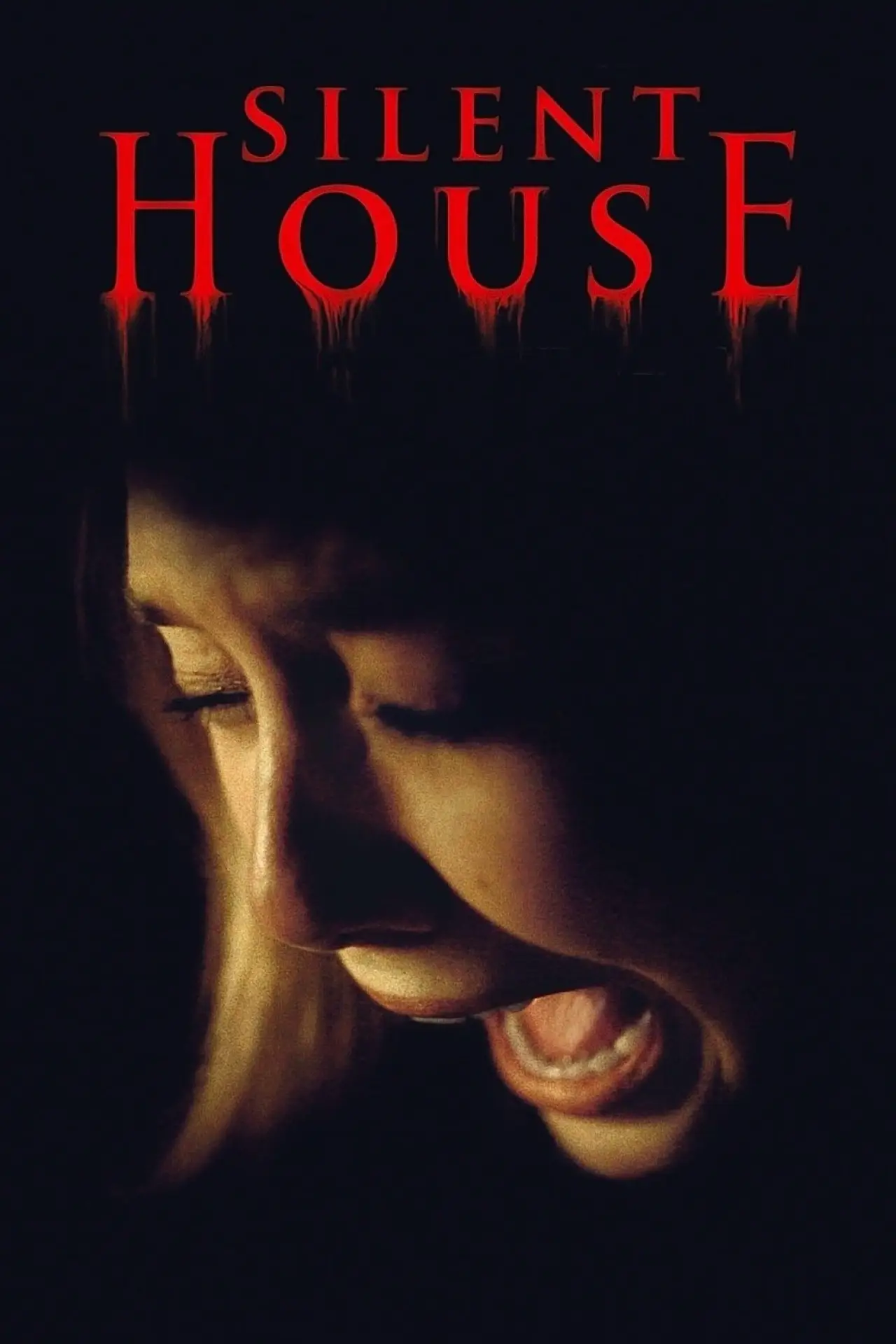 Movie poster "Silent House"