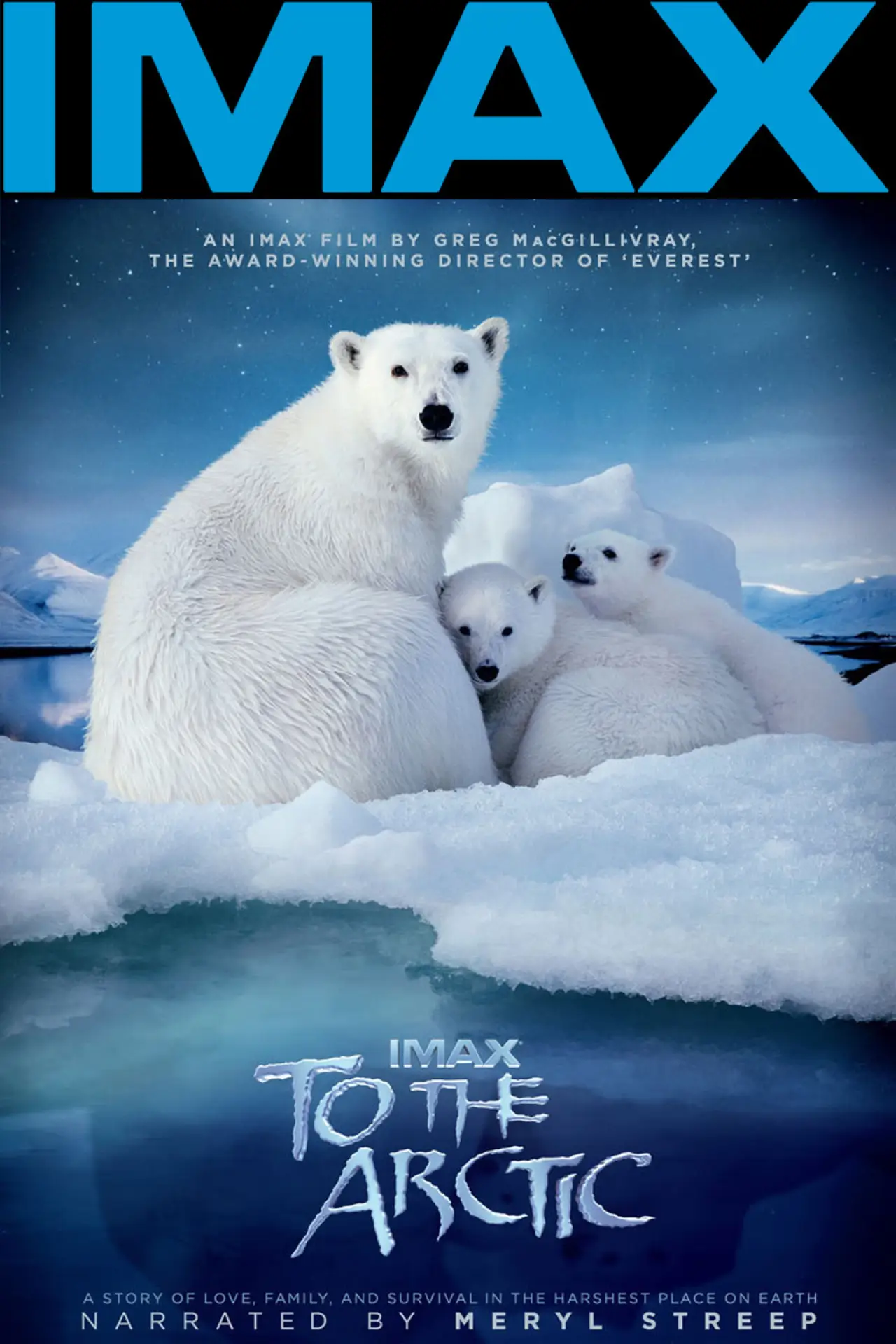 Movie poster "To the Arctic 3D"