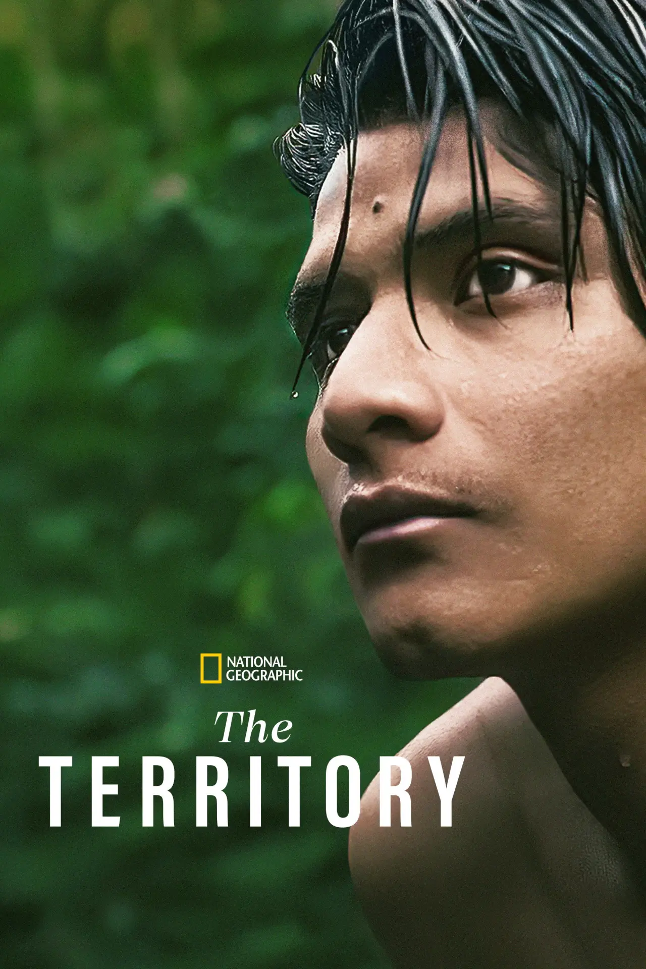 Movie poster "The Territory"