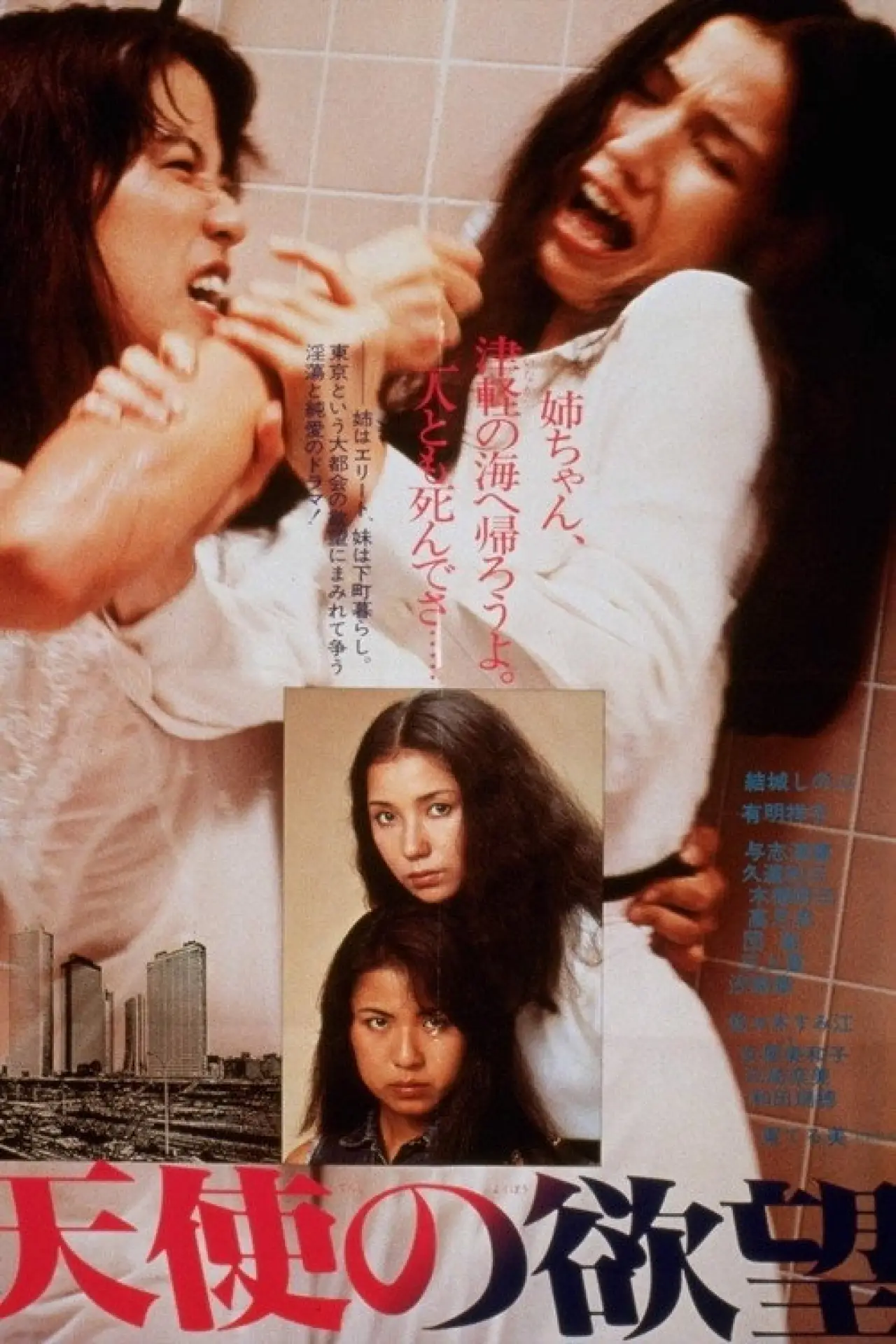 Movie poster "The Desire of Angels"
