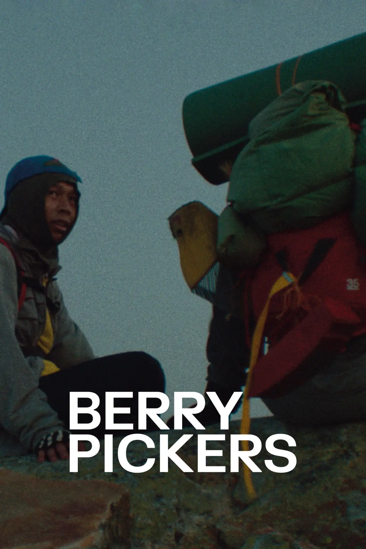 Movie poster "Berry Pickers"