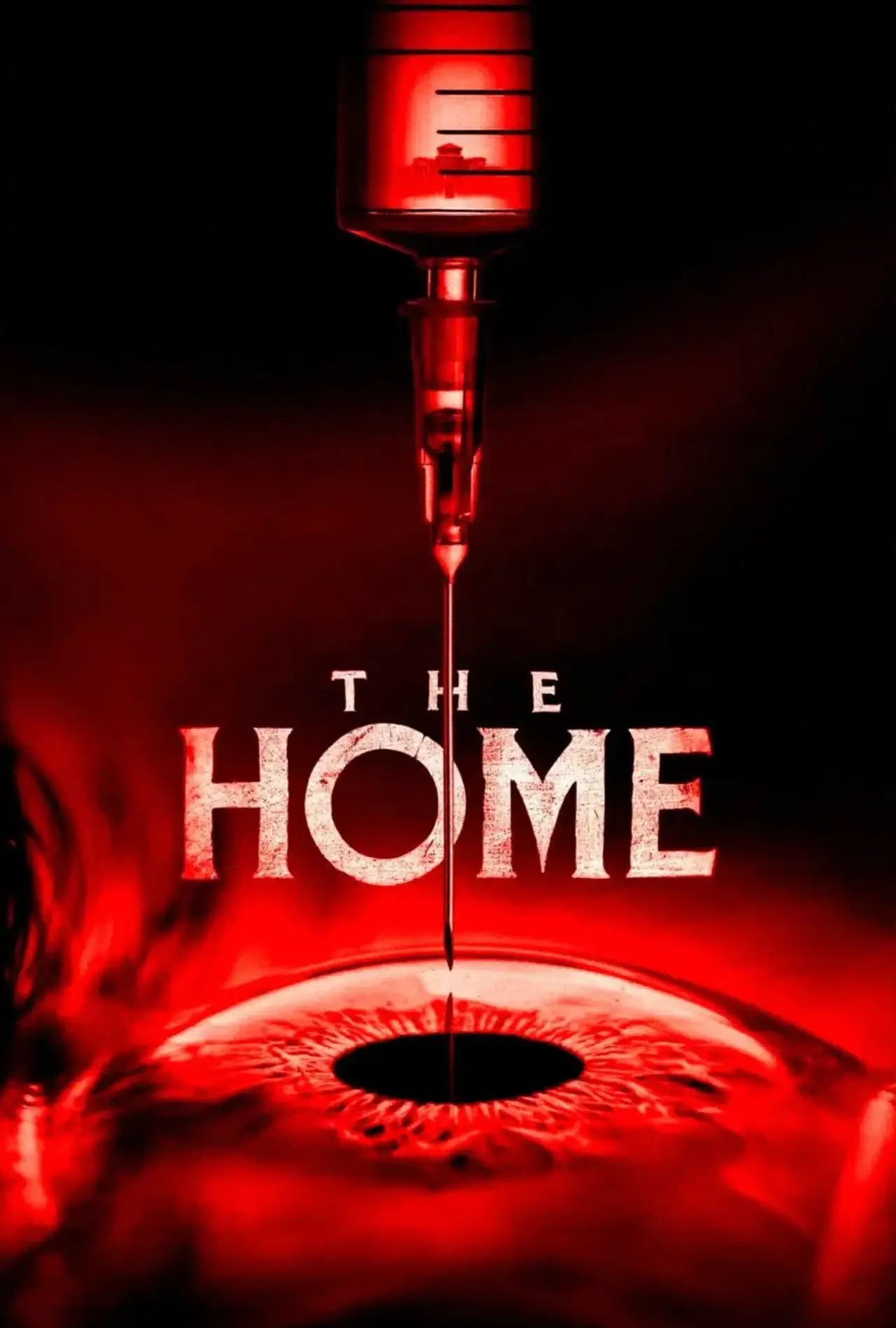 Movie poster "The Home"