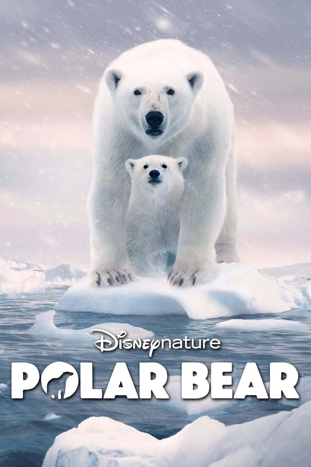 Movie poster "Polar Bear"