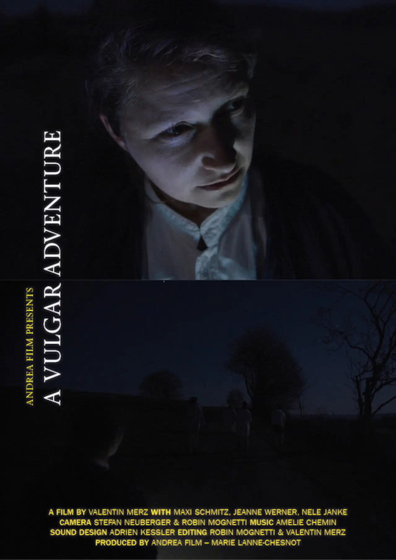 Movie poster "A Vulgar Adventure"