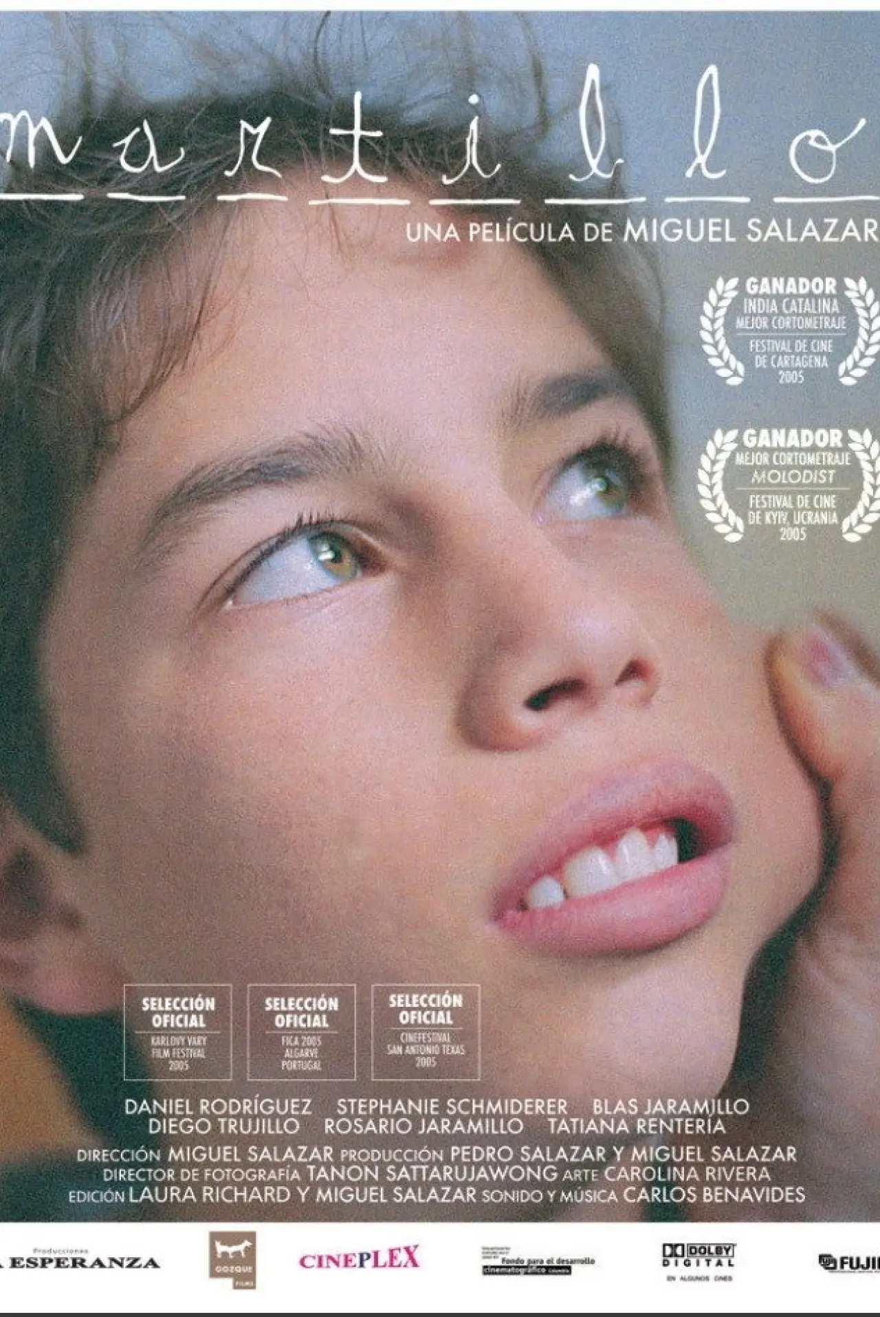 Movie poster "Hammer"