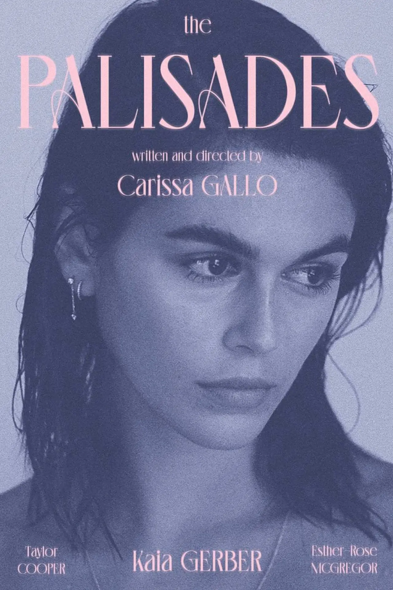 Movie poster "The Palisades"