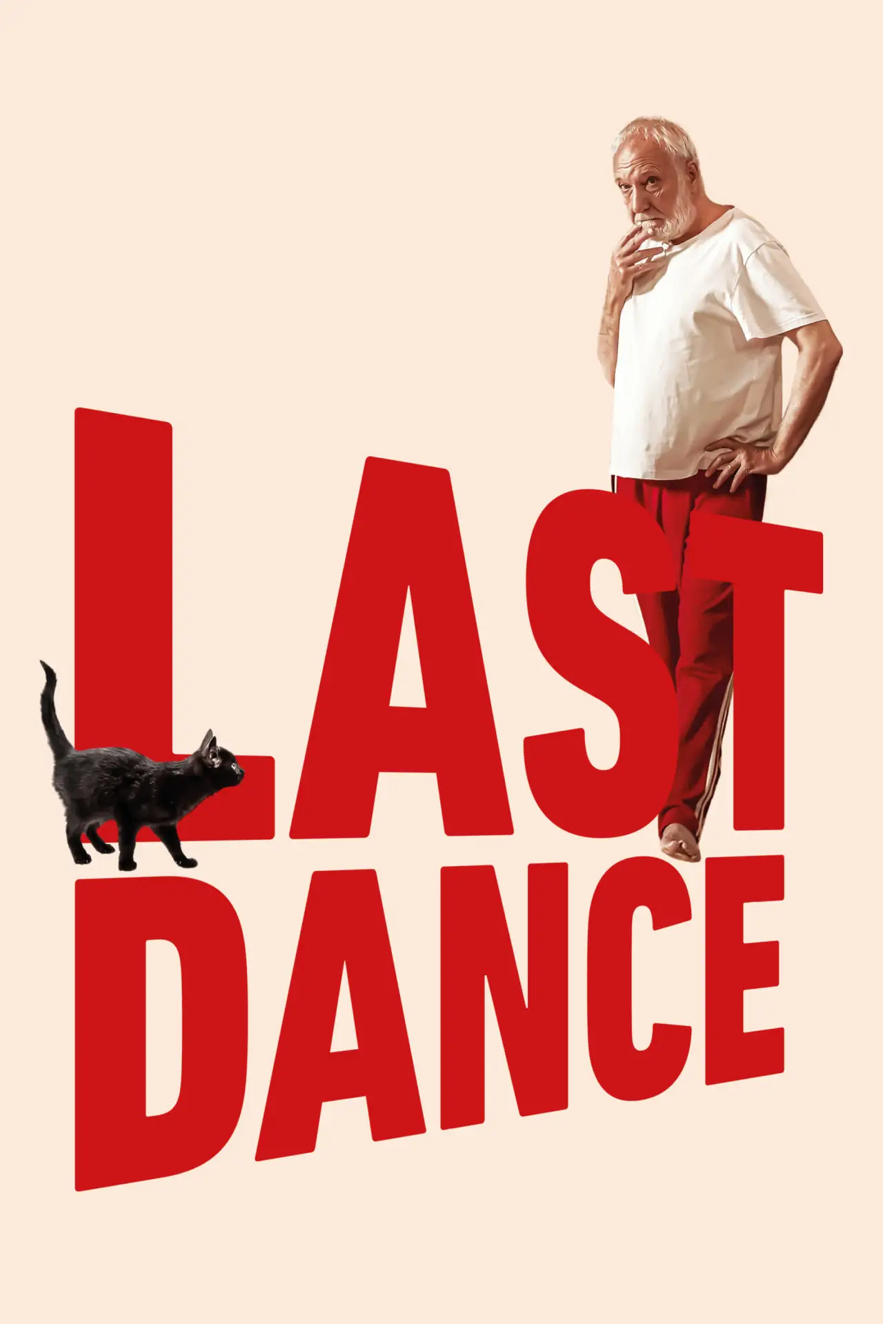 Movie poster "Last Dance !"