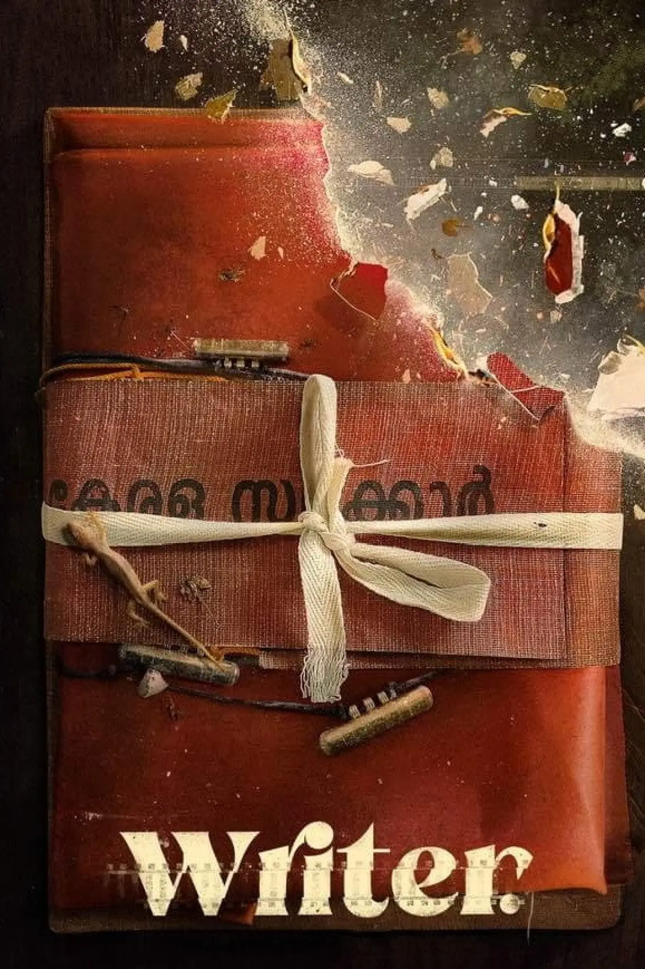 Movie poster "Writer"