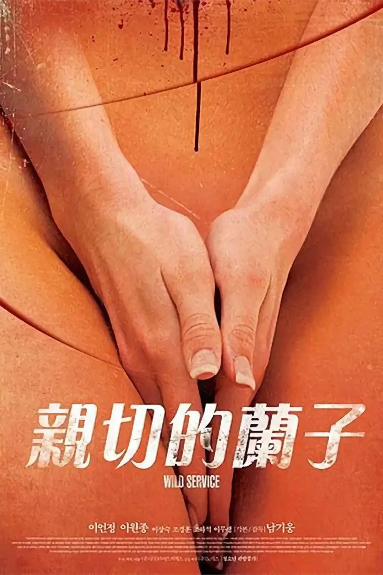 Movie poster "어느 잔인한 미용사의"