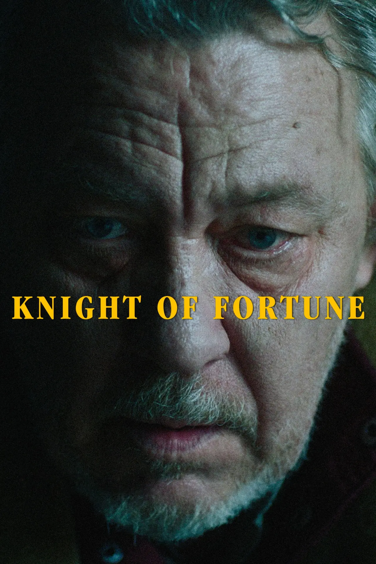Movie poster "Knight of Fortune"