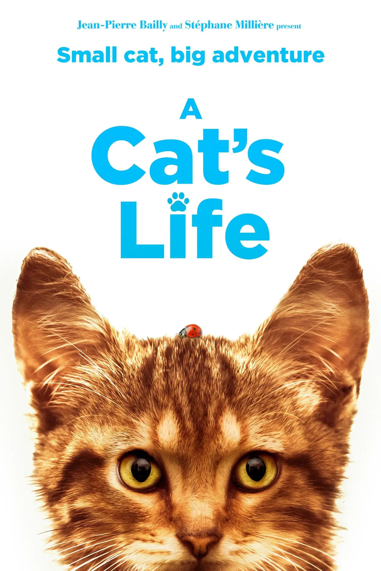 Movie poster "A Cat